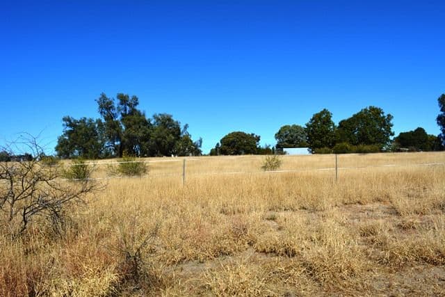 1 Garden Street, Tambo QLD 4478, Tambo - Thumbnail 4