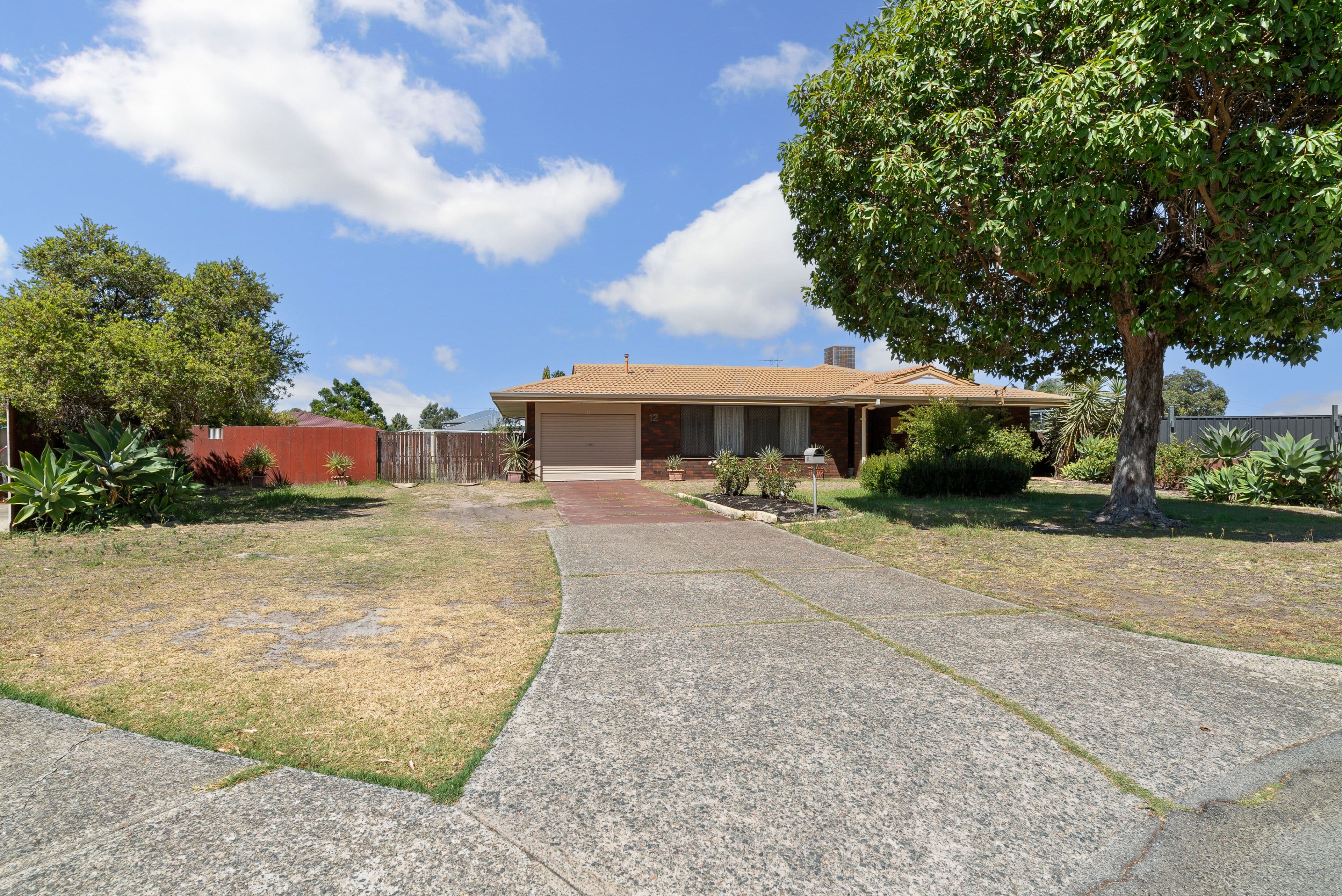 12 Barbel Close, East Cannington WA 6107, East Cannington - Thumbnail 4