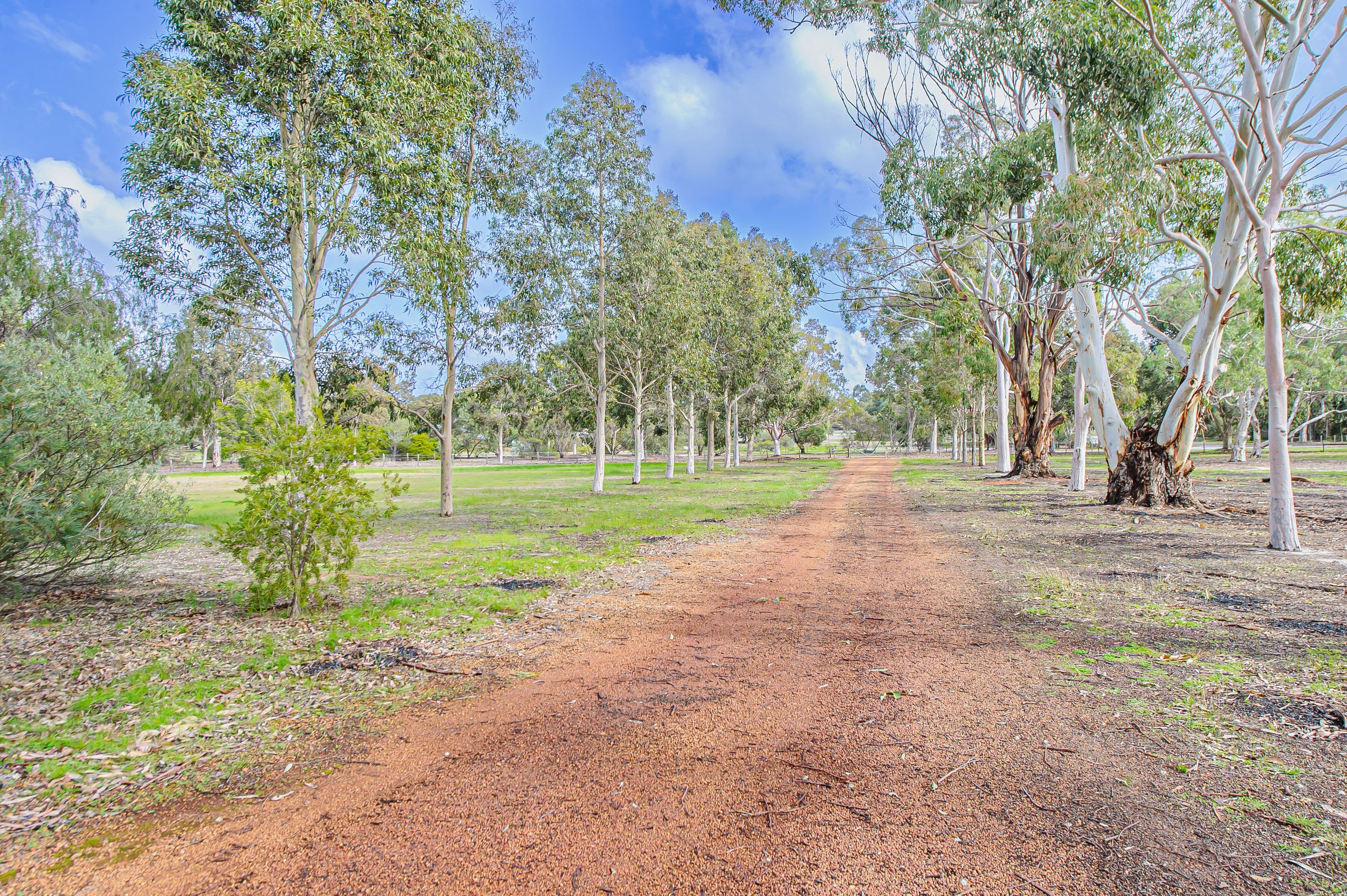 88 Charolais Trail, Lower Chittering WA 6084, Lower Chittering - Thumbnail 4