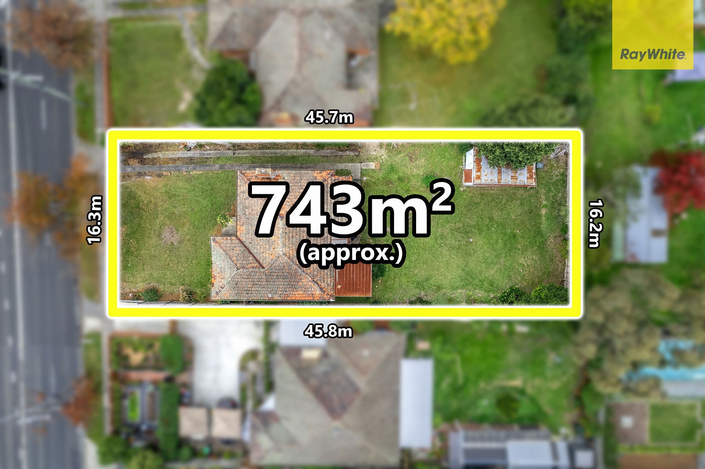 146 Elgar Road, Box Hill South VIC 3128, Box Hill South - Image 1