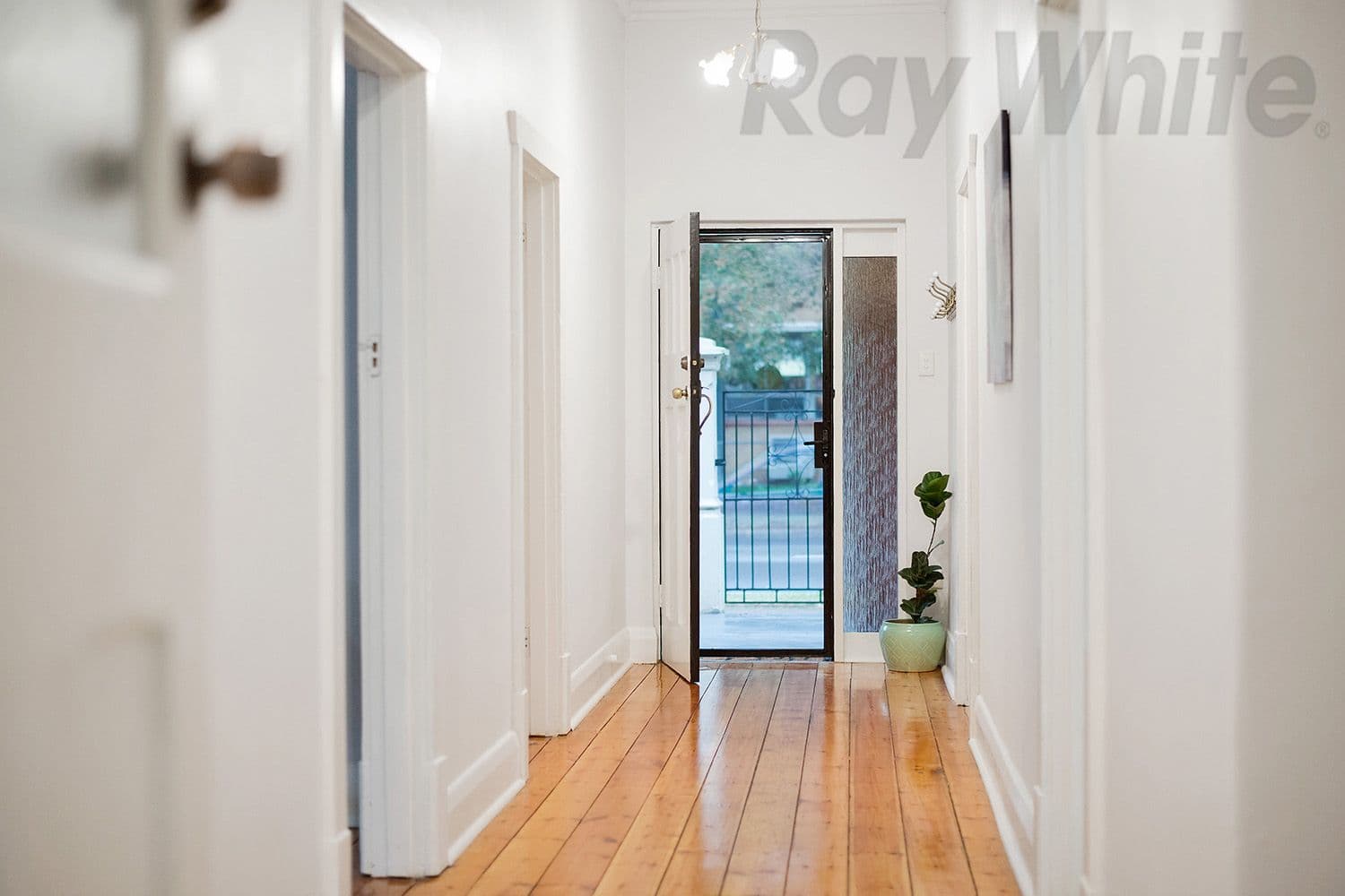 51 East Avenue, Allenby Gardens SA 5009, Allenby Gardens - Thumbnail 3