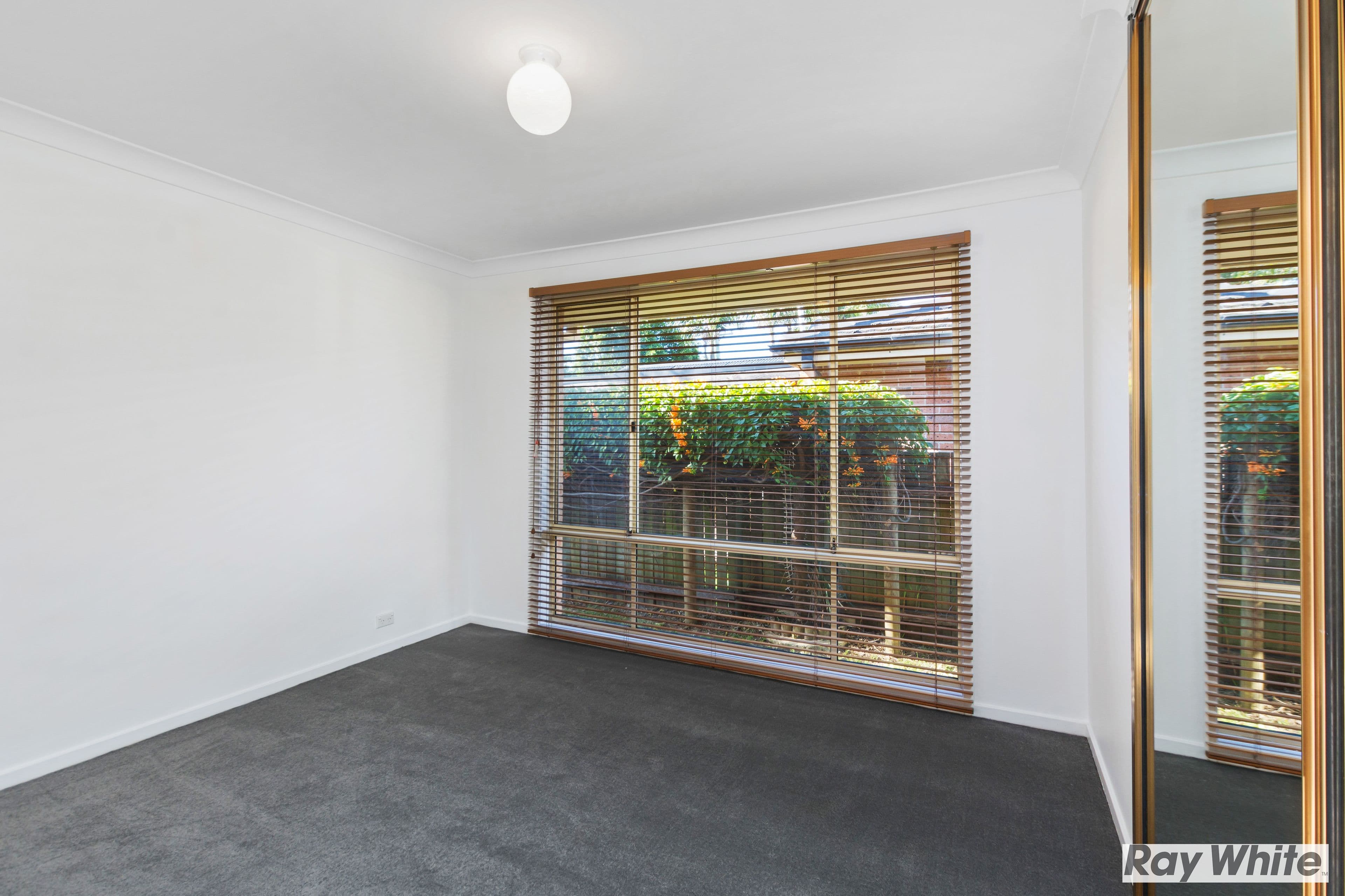 11 Smith Avenue, Albion Park NSW 2527, Albion Park - Thumbnail 5