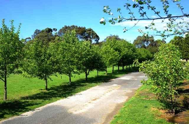 39-45 Sproat Street, Drysdale VIC 3222, Drysdale - Thumbnail 2