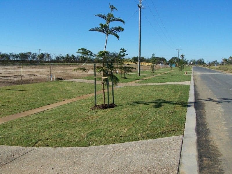 Lot 35 Tuckeroo Place, YEPPOON QLD 4703, Yeppoon - Thumbnail 8