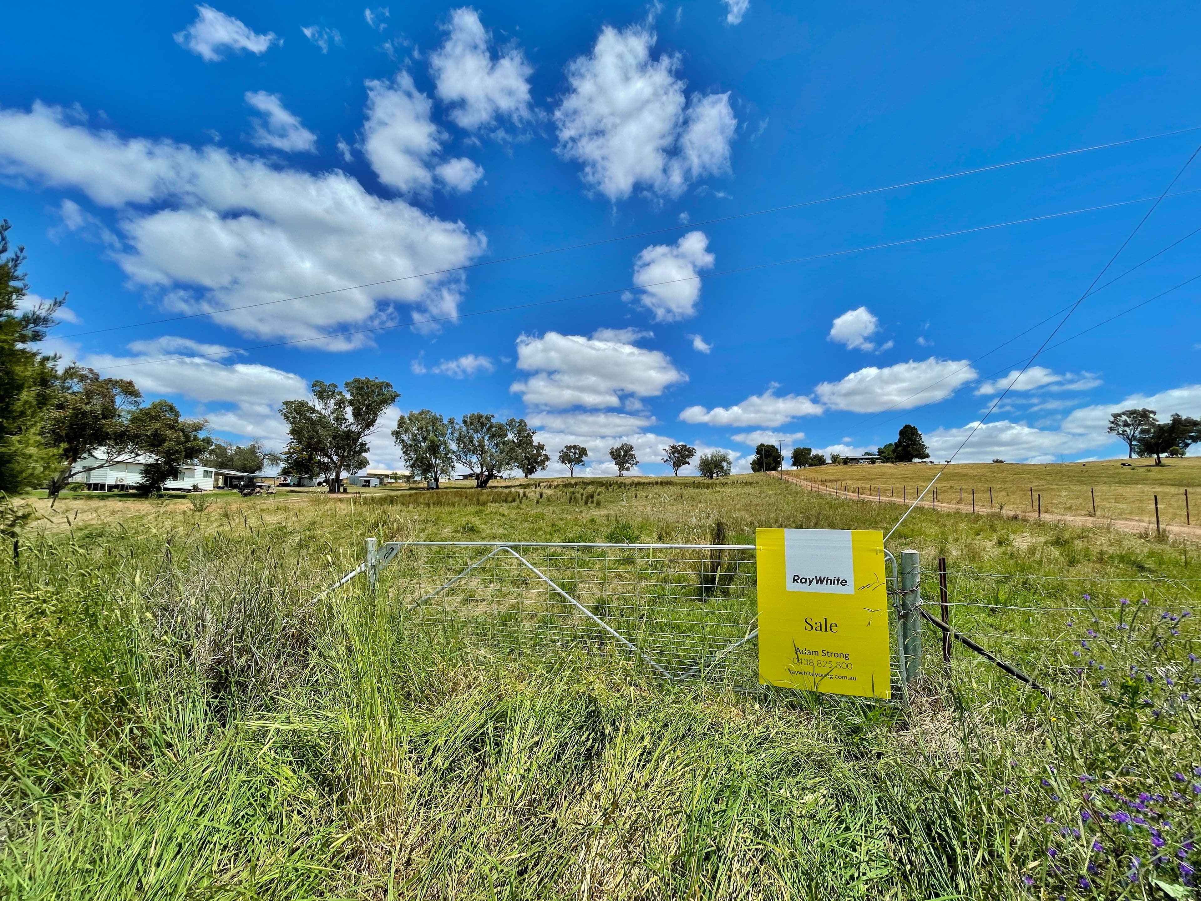41 Wirrimah Rd, BENDICK MURRELL, via, Young NSW 2594, Young - Image 1