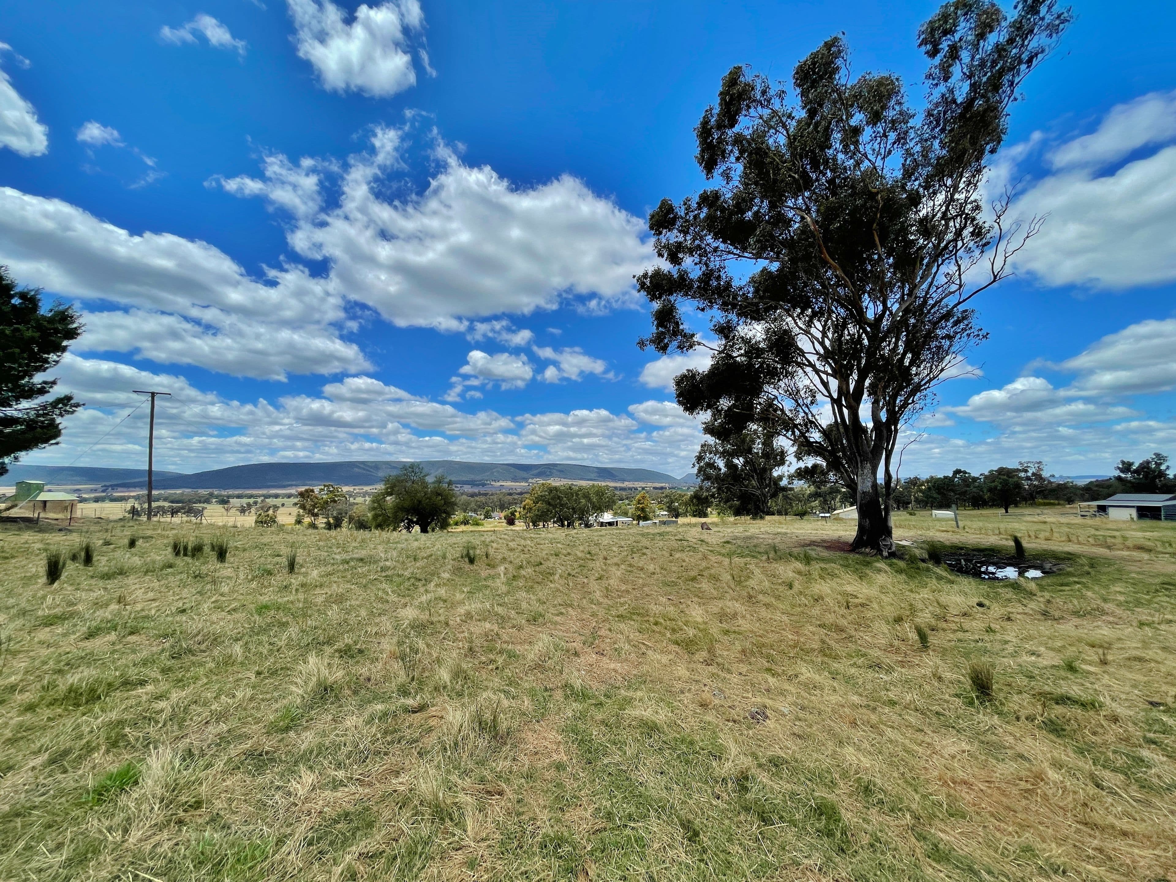 41 Wirrimah Rd, BENDICK MURRELL, via, Young NSW 2594, Young - Thumbnail 3
