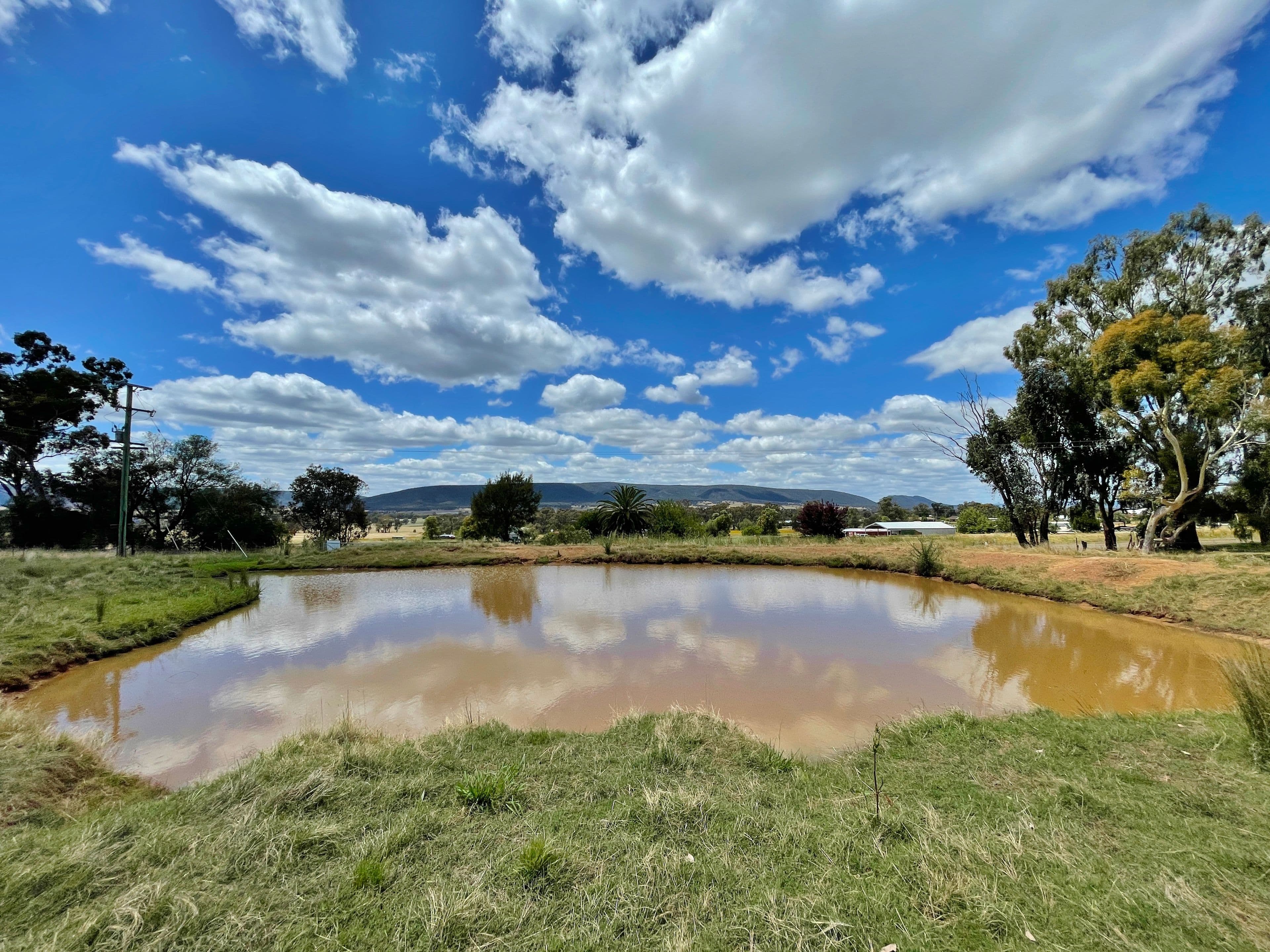 41 Wirrimah Rd, BENDICK MURRELL, via, Young NSW 2594, Young - Thumbnail 4