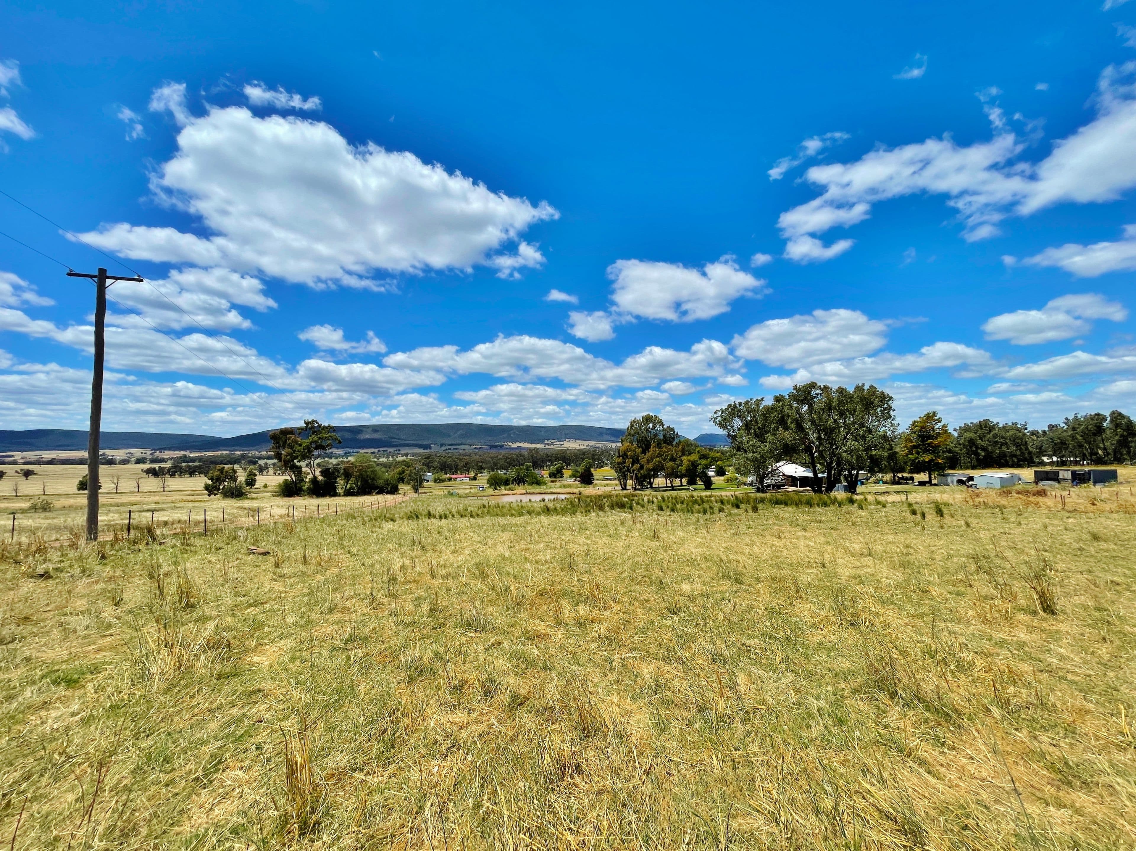 41 Wirrimah Rd, BENDICK MURRELL, via, Young NSW 2594, Young - Thumbnail 5