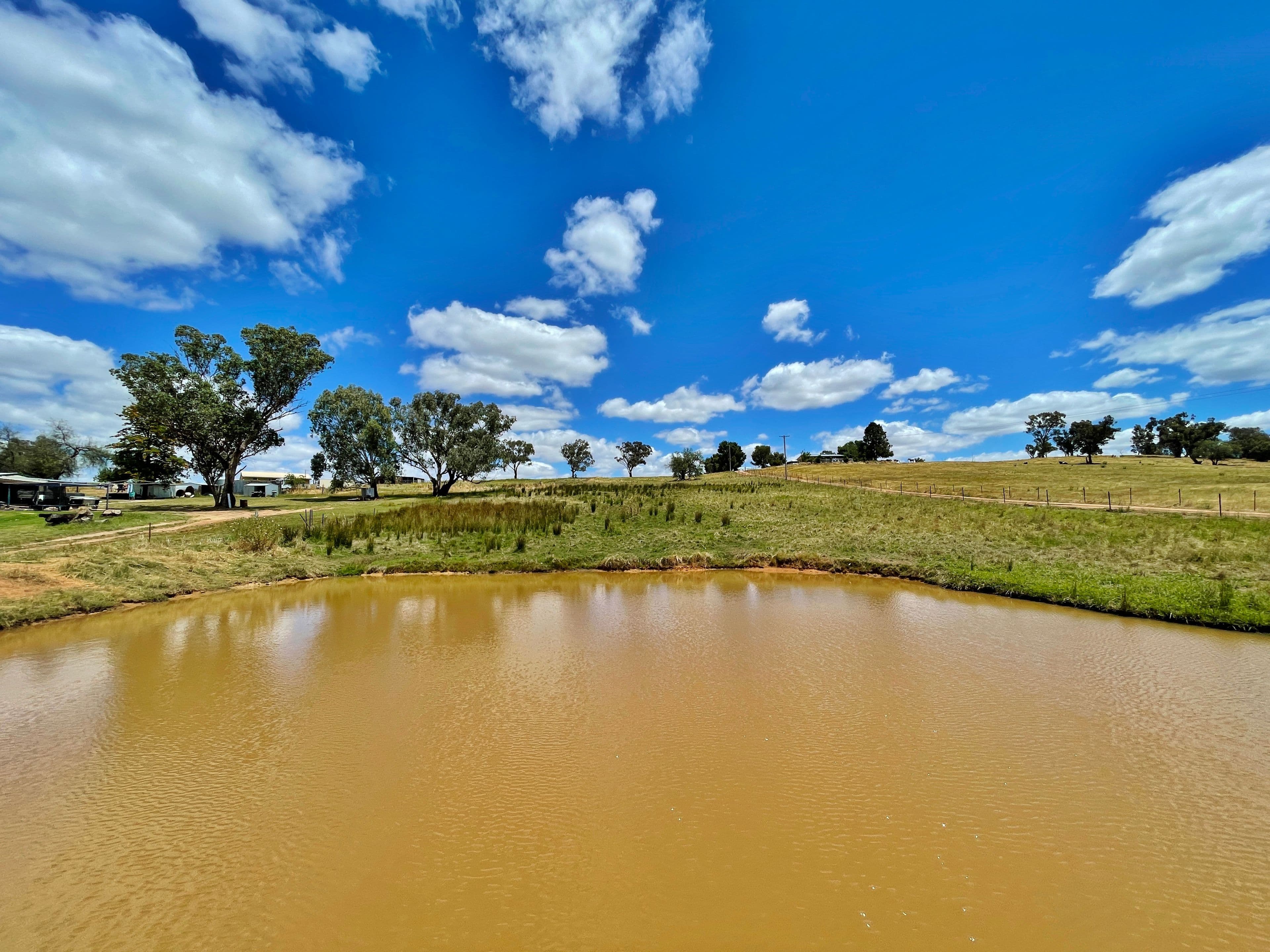 41 Wirrimah Rd, BENDICK MURRELL, via, Young NSW 2594, Young - Thumbnail 6
