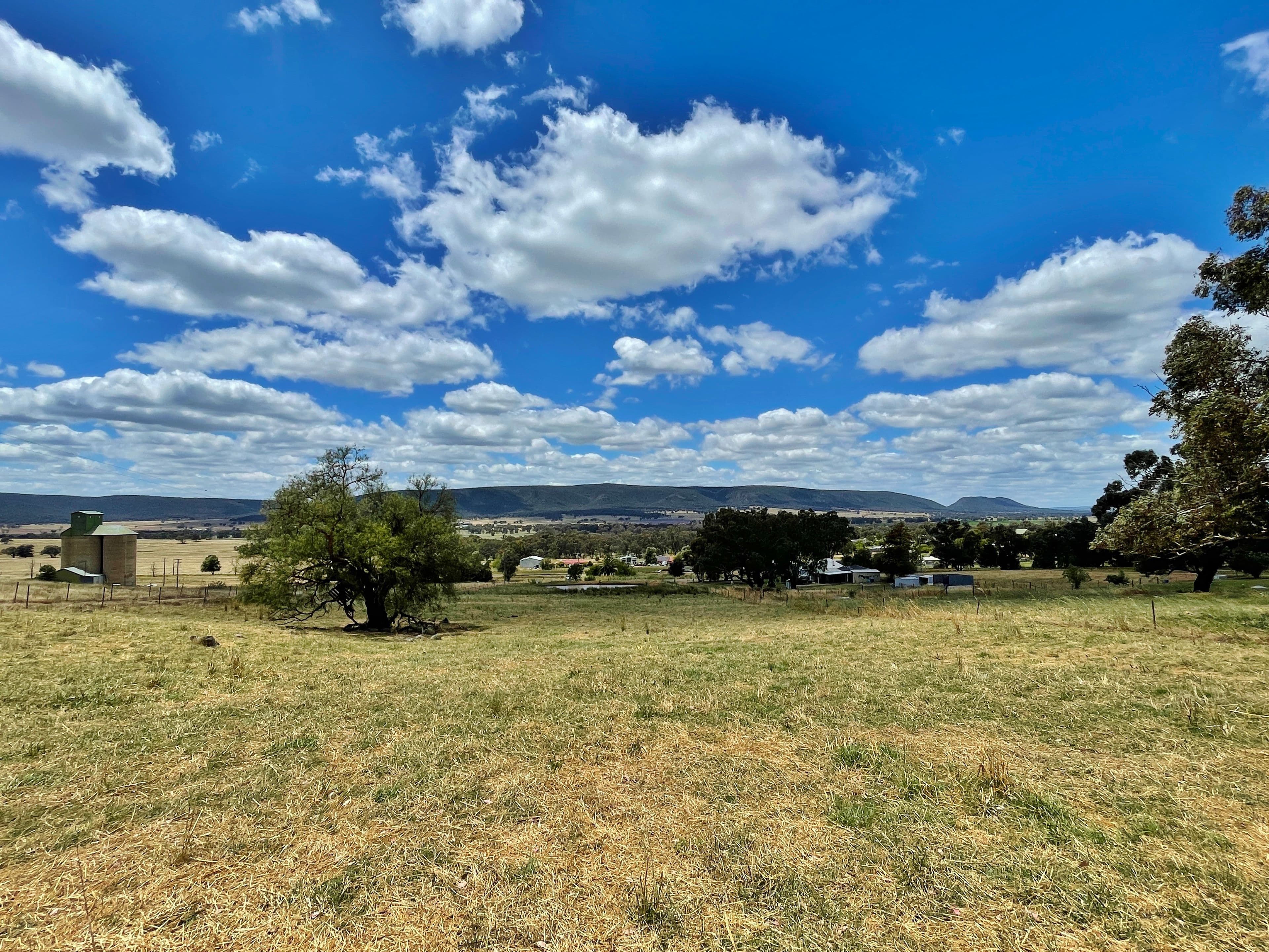 41 Wirrimah Rd, BENDICK MURRELL, via, Young NSW 2594, Young - Thumbnail 7