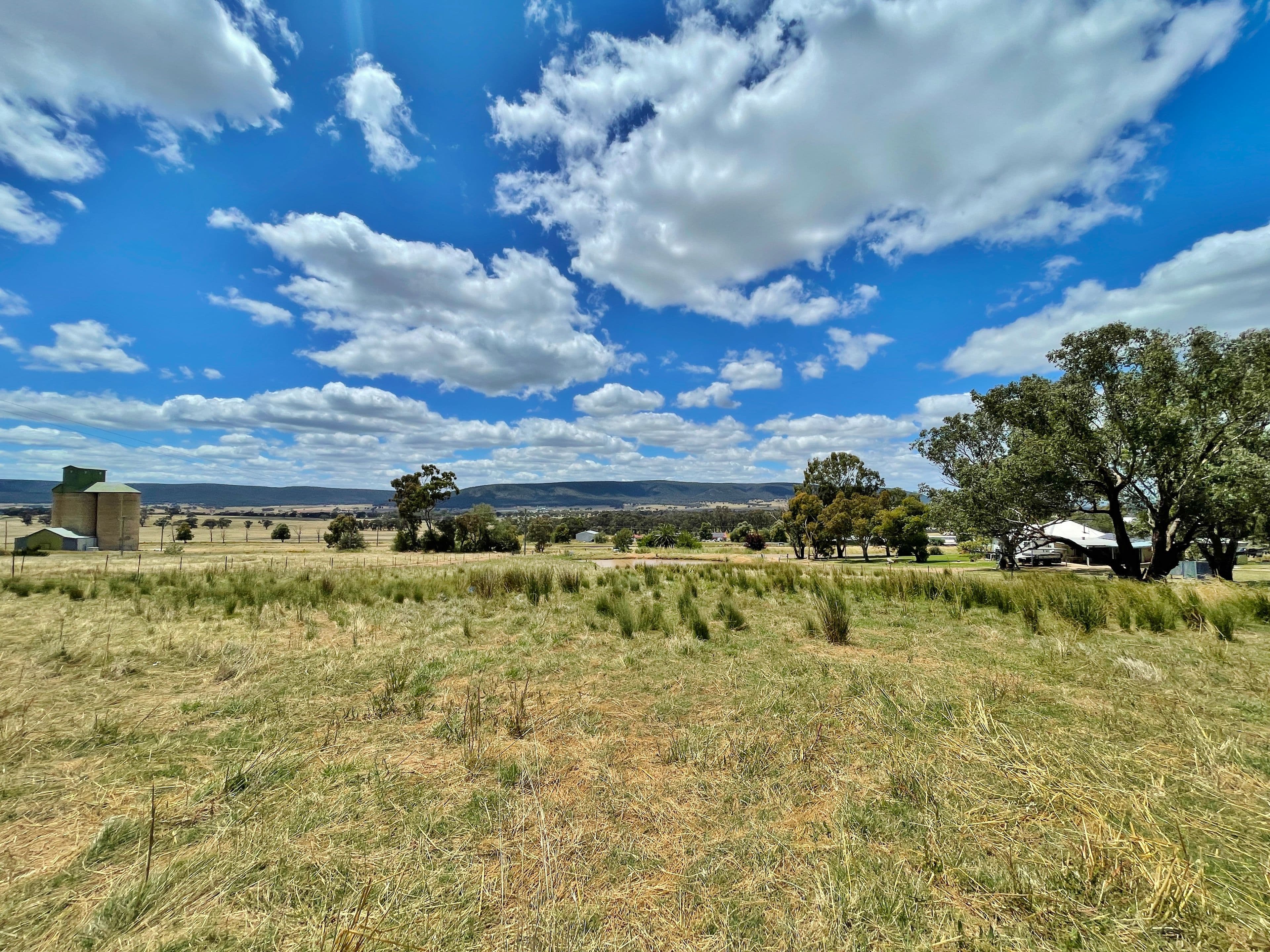 41 Wirrimah Rd, BENDICK MURRELL, via, Young NSW 2594, Young - Thumbnail 8