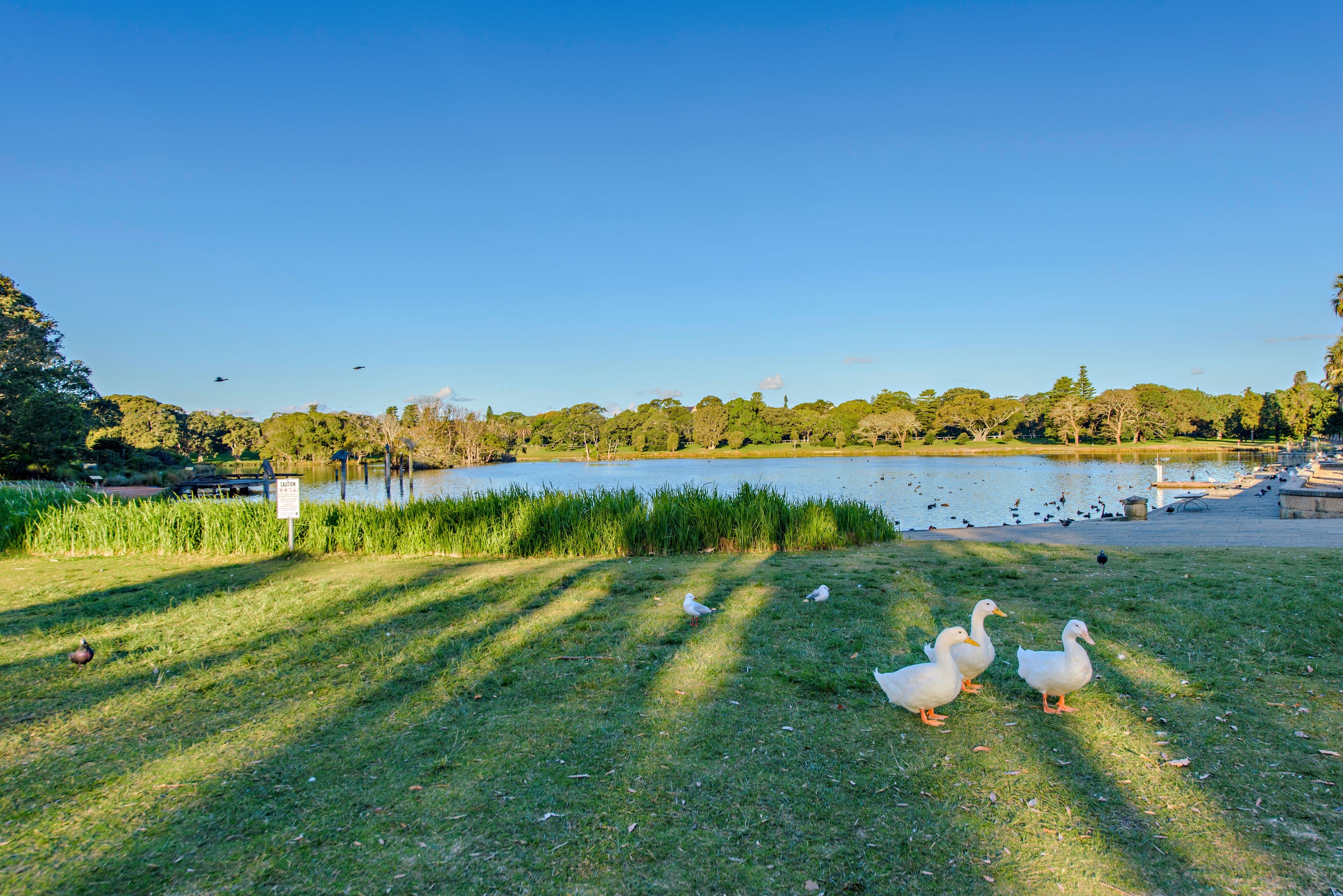23 Denbeigh Street, Parramatta Park, QLD 4870, Parramatta Park - Thumbnail 6