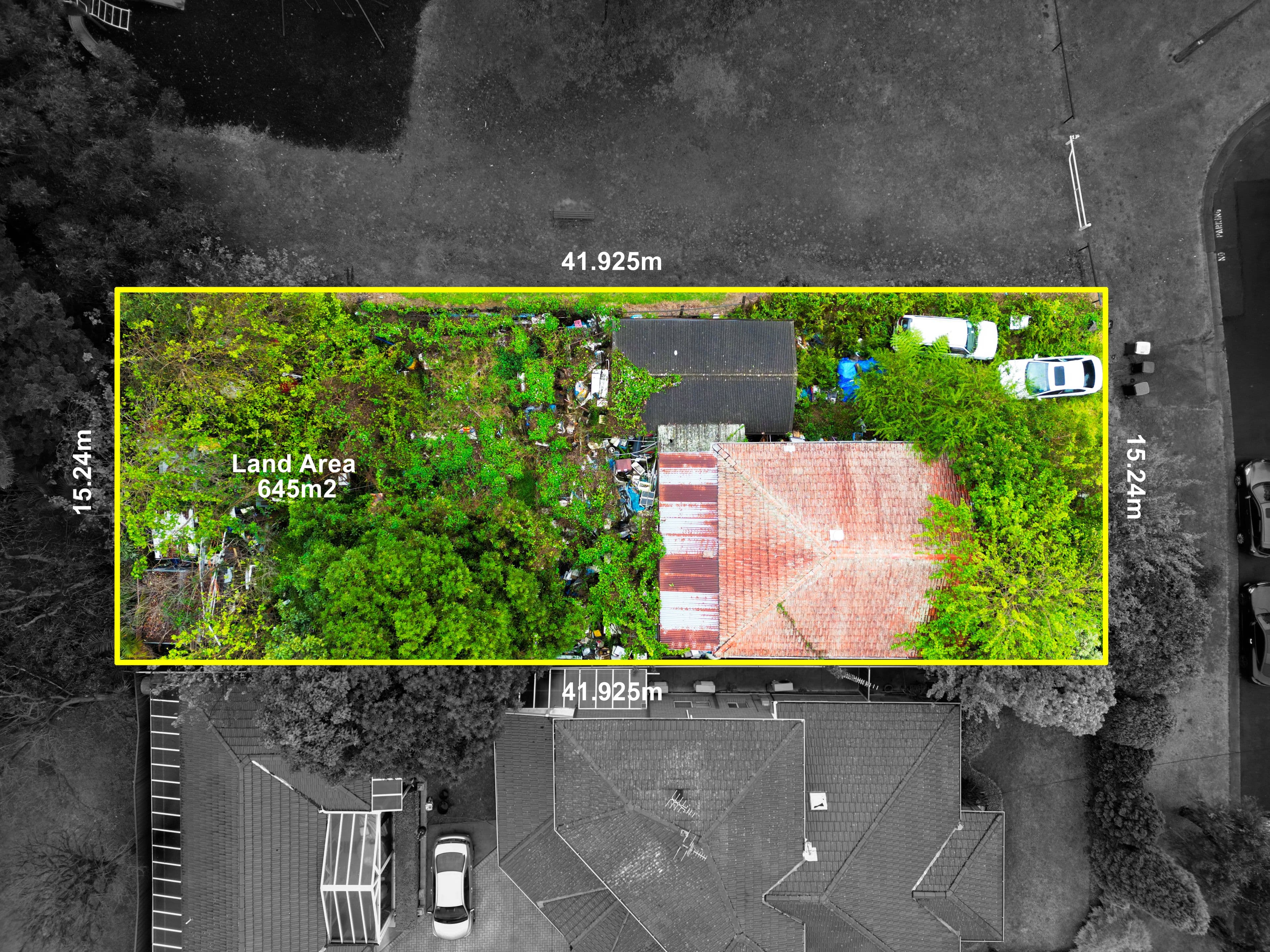 14 Potter Avenue, Earlwood NSW 2206, Earlwood - Thumbnail 2
