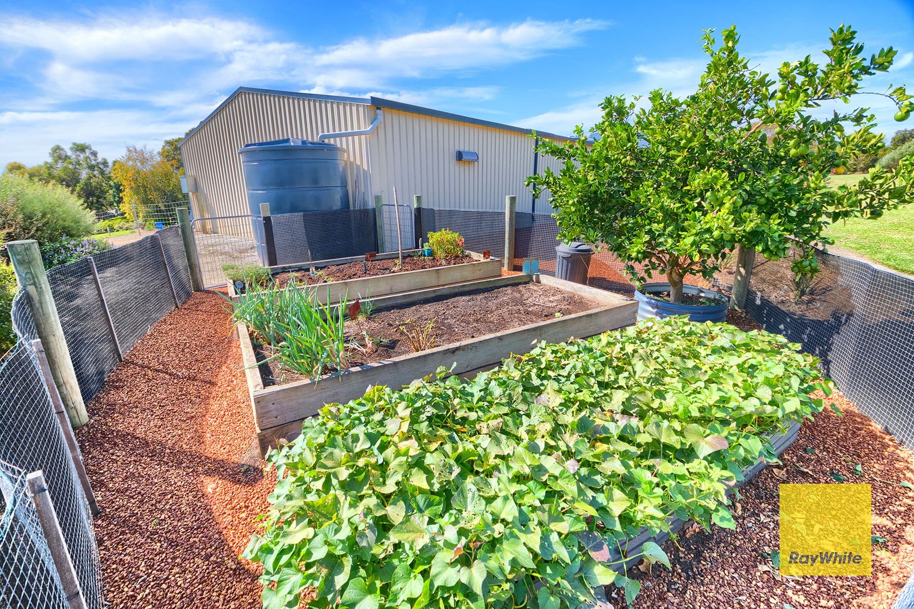 1 Bottrell Close, Warrenup WA 6330, Warrenup - Thumbnail 5