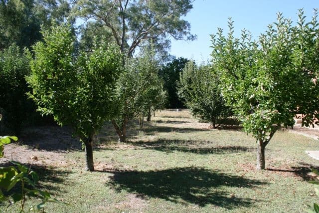 6 Burton Street, CLARE SA 5453, Clare - Thumbnail 4
