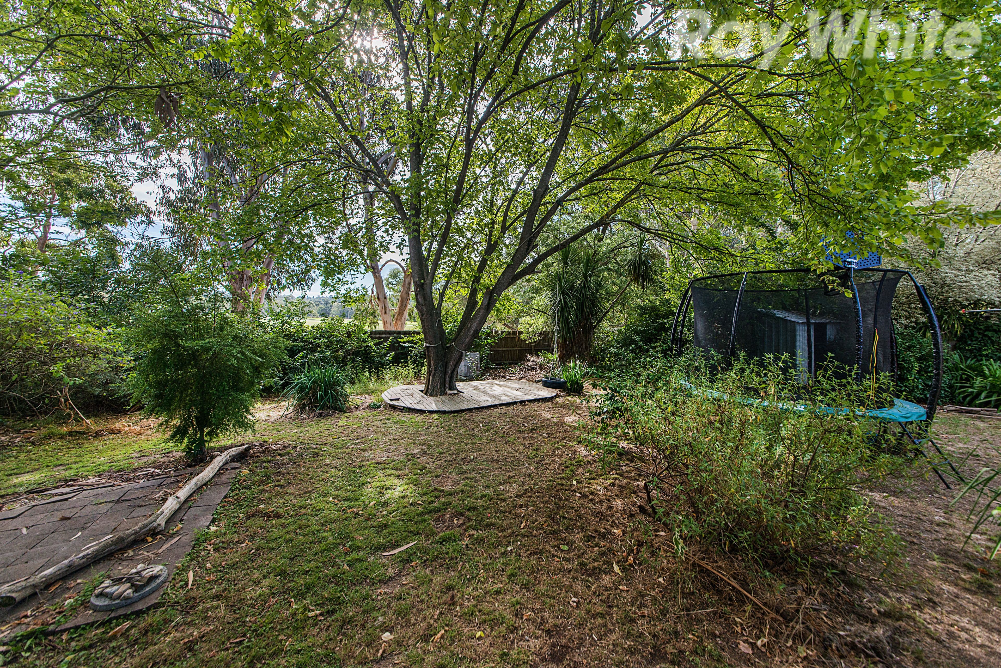 19 Wallara Crescent, Croydon VIC 3136, Croydon - Thumbnail 8