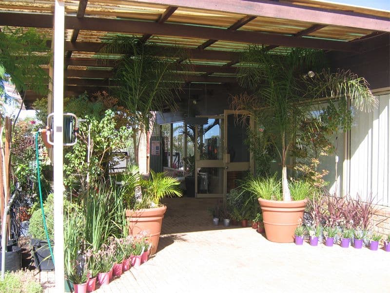 61  Fenton Place, WONGAN HILLS WA 6603, Wongan Hills - Thumbnail 3