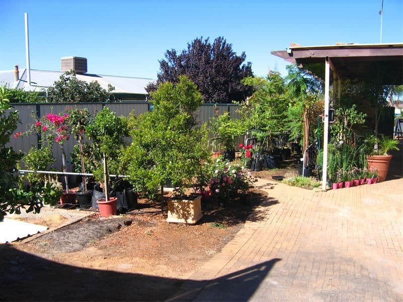 61  Fenton Place, WONGAN HILLS WA 6603, Wongan Hills - Thumbnail 8