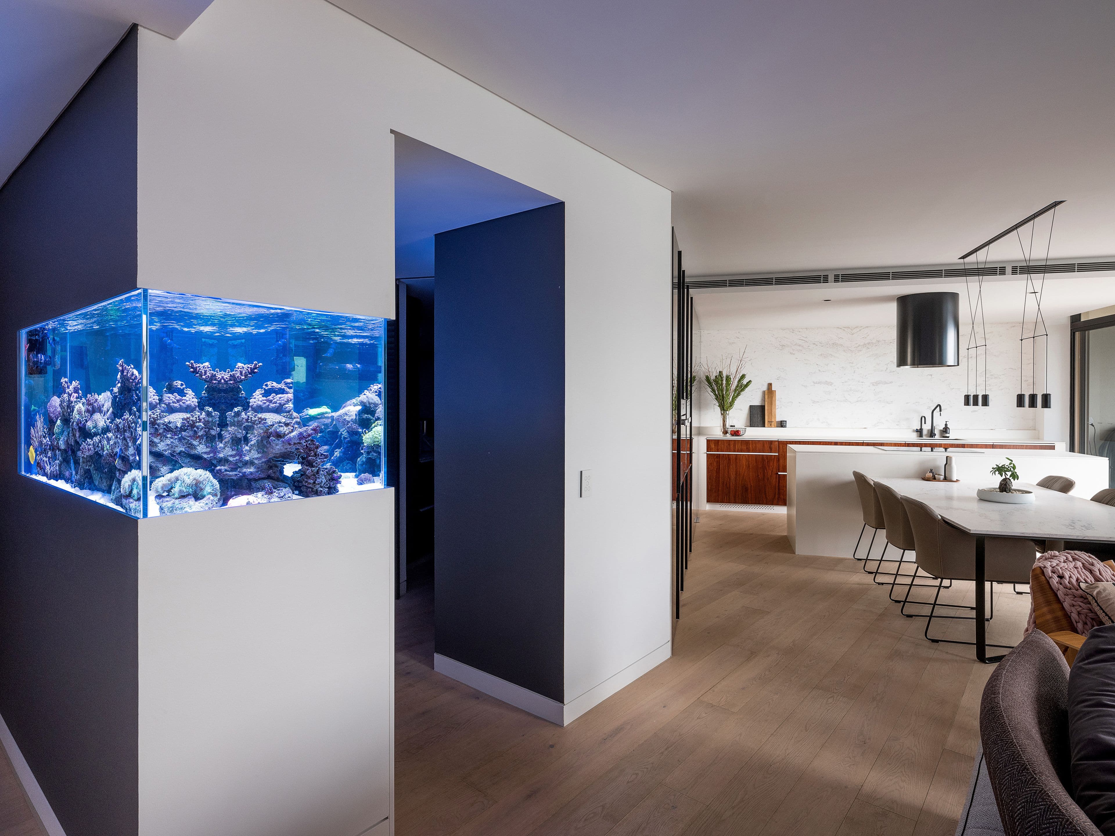 15 Warayama Place, Rozelle NSW 2039, Rozelle - Thumbnail 5