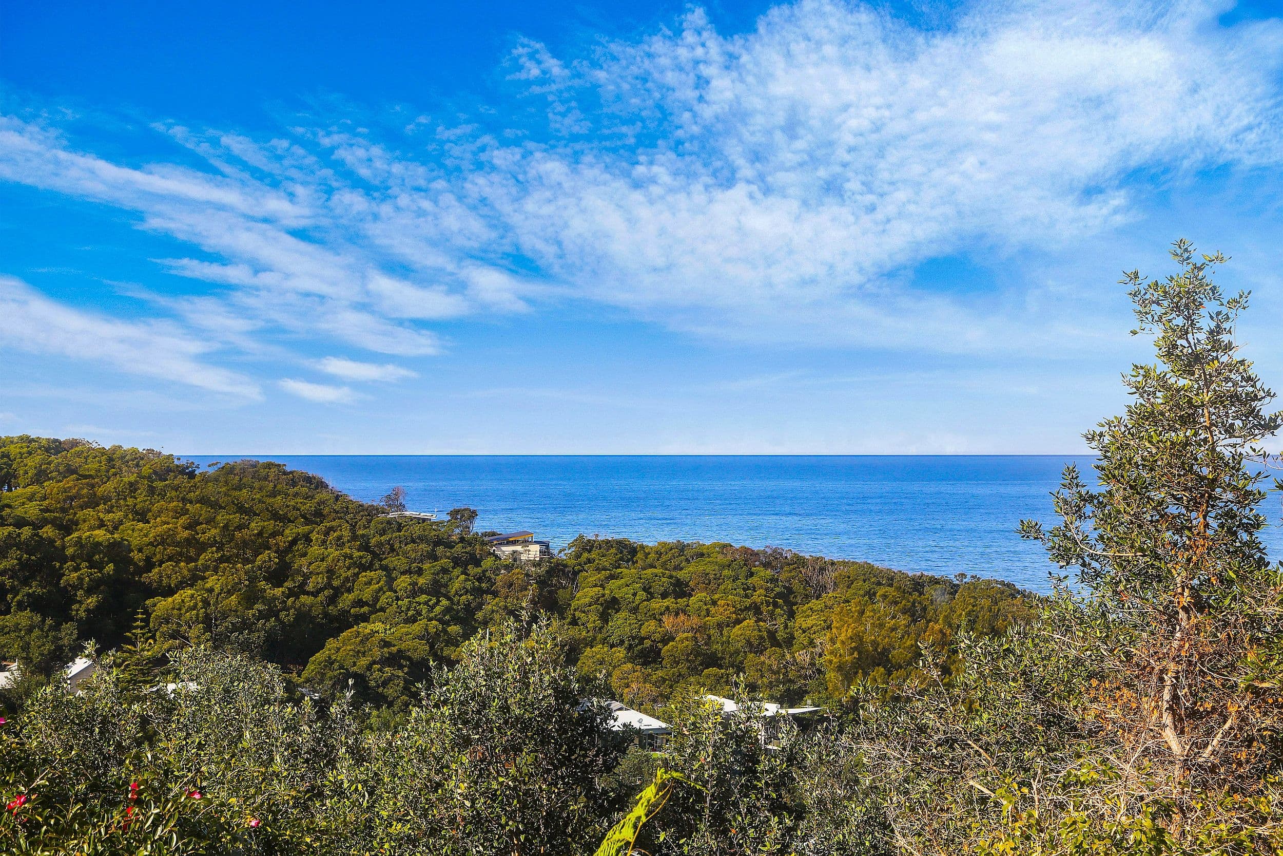 44 Bellevue Crescent, North Avoca NSW 2260, North Avoca - Thumbnail 6