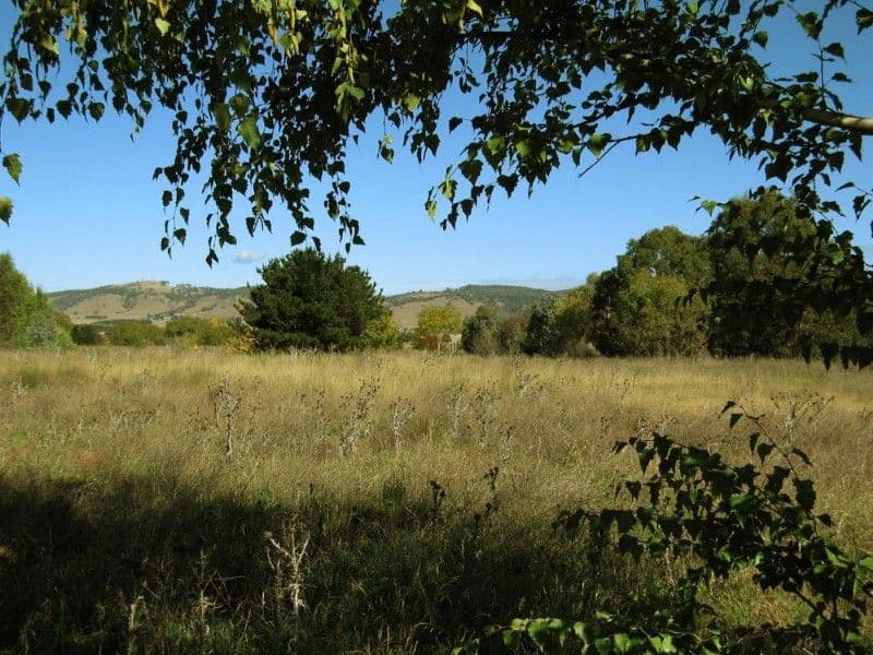 14 Reardon Place, BUNGENDORE NSW 2621, Bungendore - Image 1