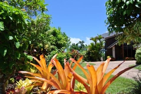98 Reid Road, WONGALING BEACH QLD 4852, Wongaling Beach - Thumbnail 3