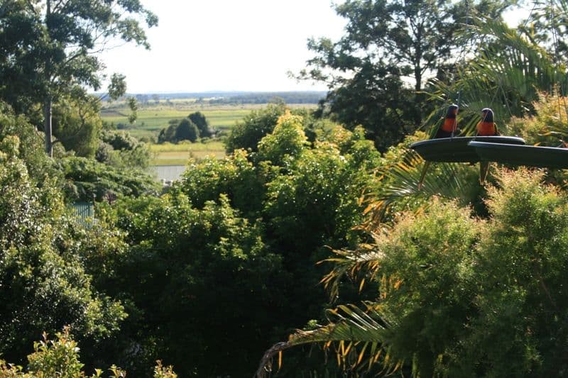 1 Countryview Court, BLI BLI QLD 4560, Bli Bli - Thumbnail 5