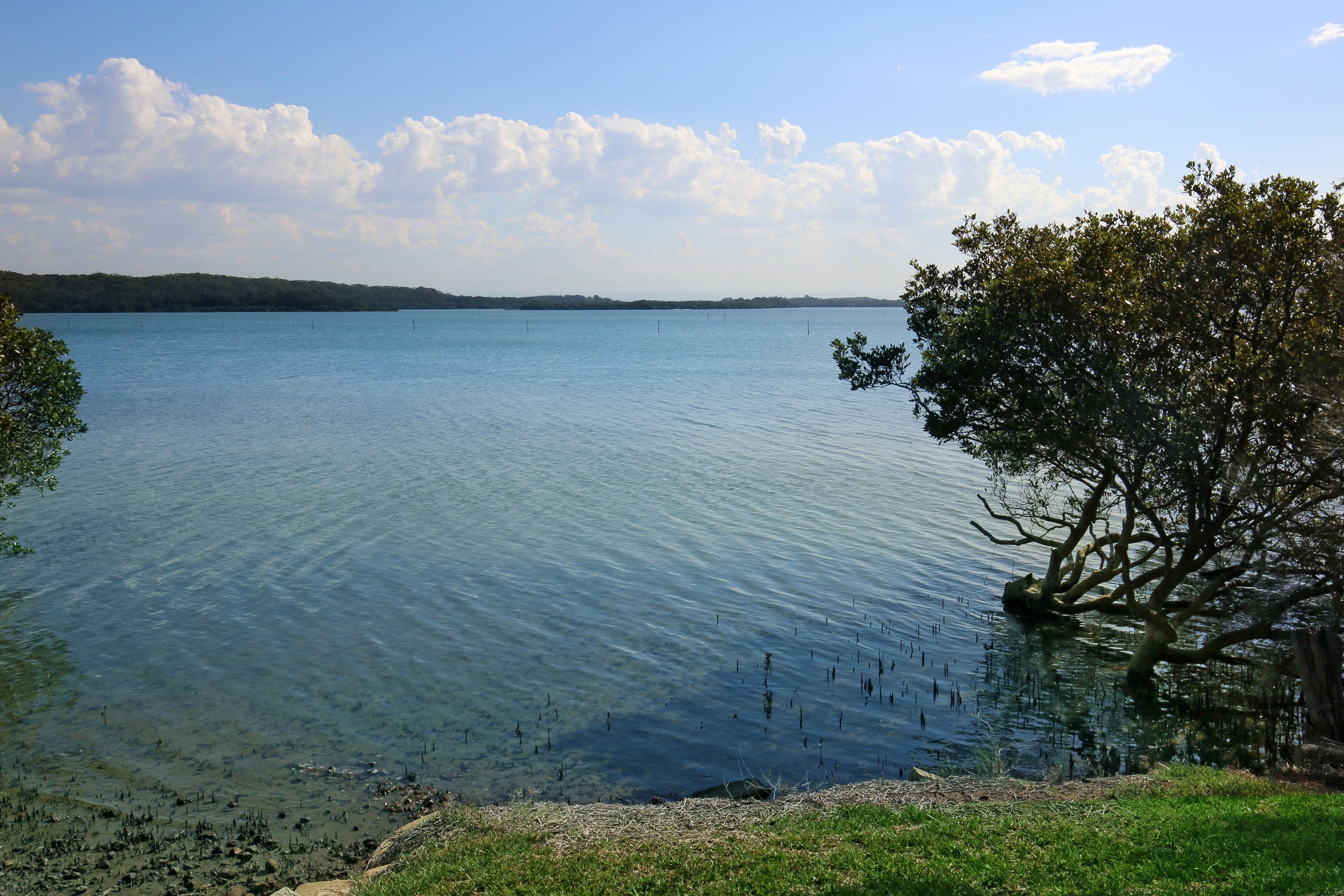 1 Belgrave Street, Culburra Beach - Thumbnail 4