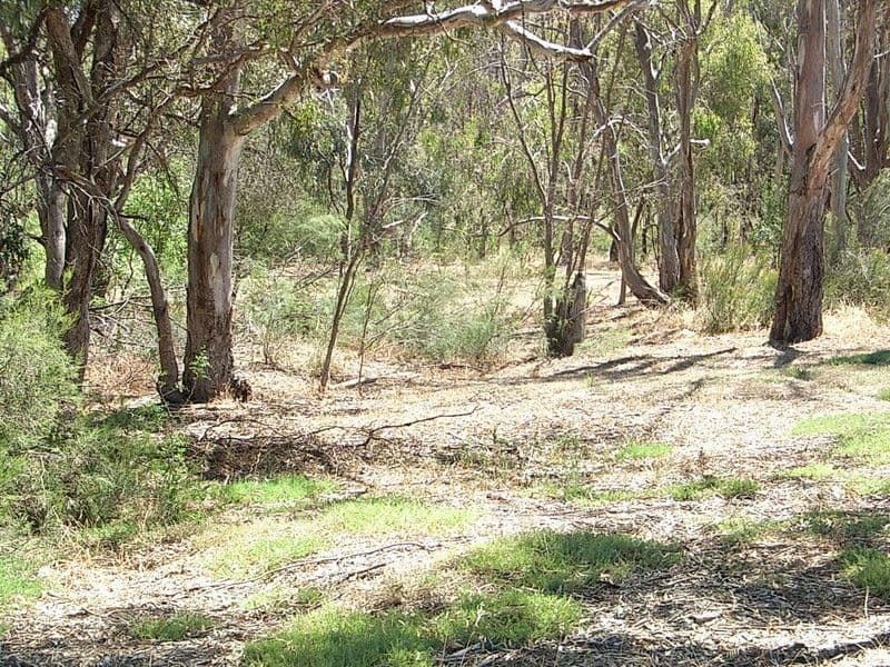 17 Gresswell Crescent, Upper Coomera, QLD, 4209, Upper Coomera - Thumbnail 2