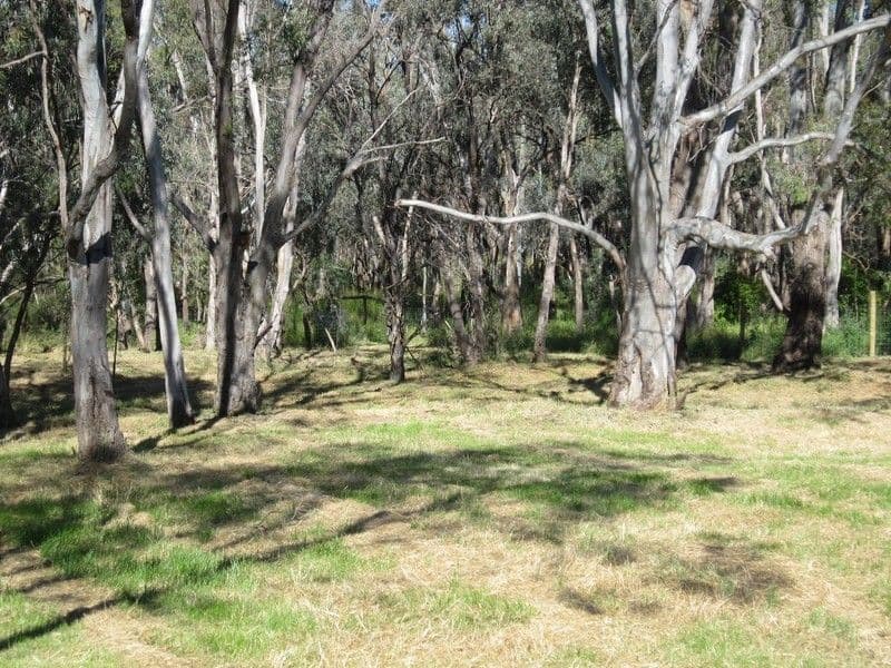 17 Gresswell Crescent, Upper Coomera, QLD, 4209, Upper Coomera - Thumbnail 7