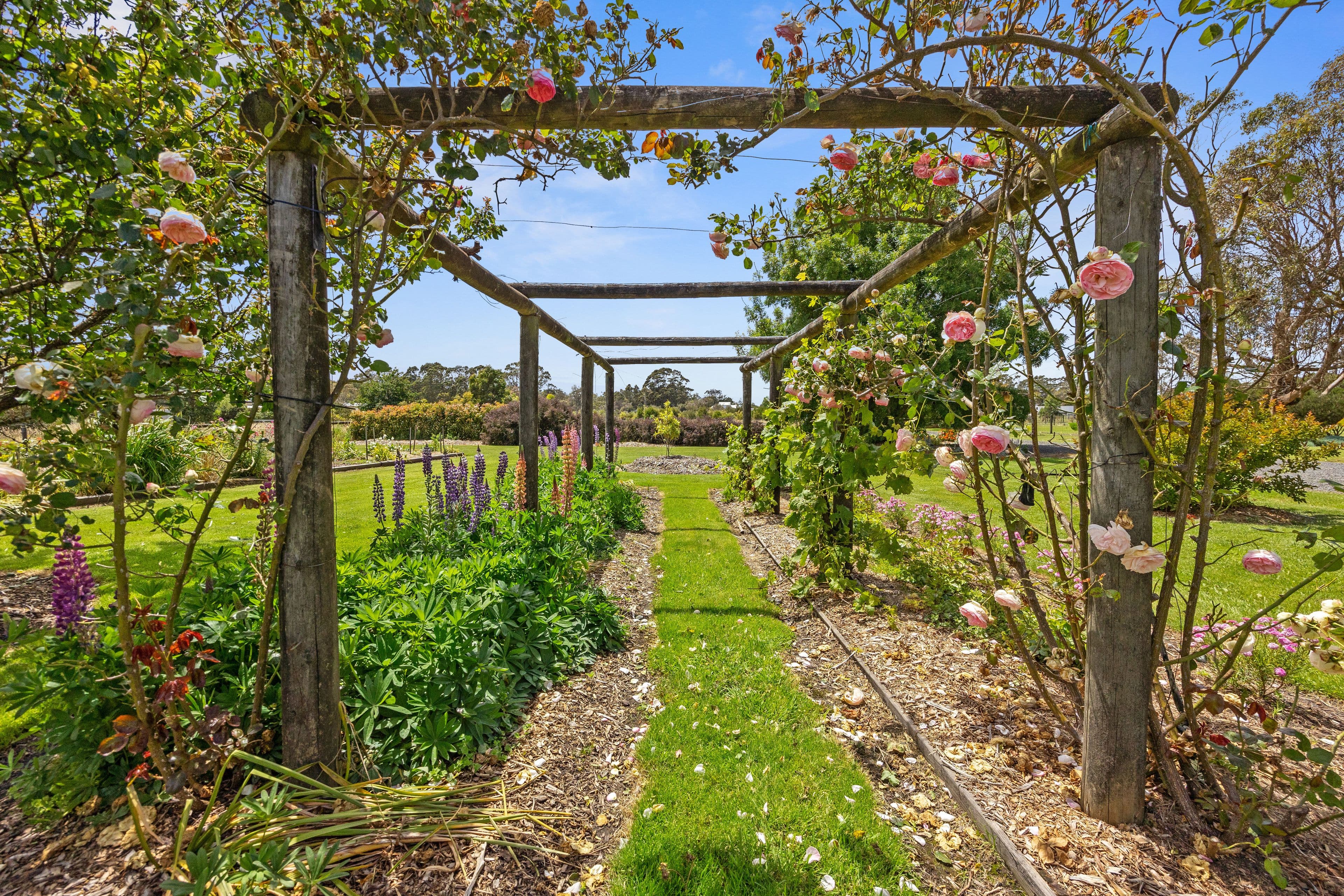15 Desmond Road, Wattle Bank VIC 3995, Wattle Bank - Thumbnail 3
