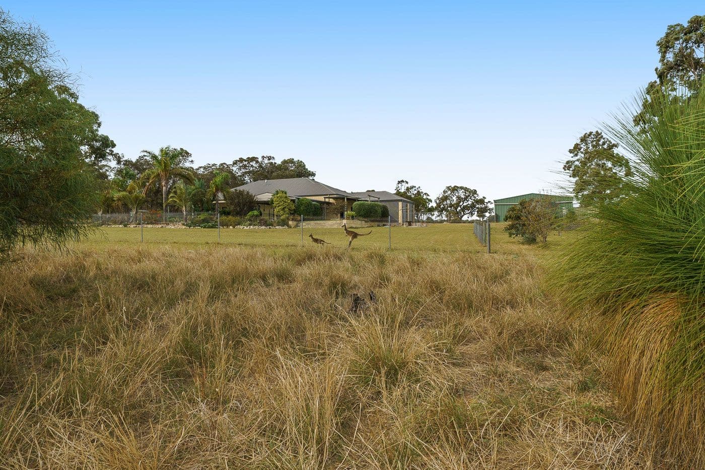 295 Karoborup Road, Carabooda WA 6033, Carabooda - Thumbnail 2