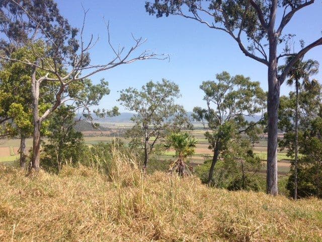 133 Garrett Road, ALLIGATOR CREEK QLD 4740, Alligator Creek - Thumbnail 4