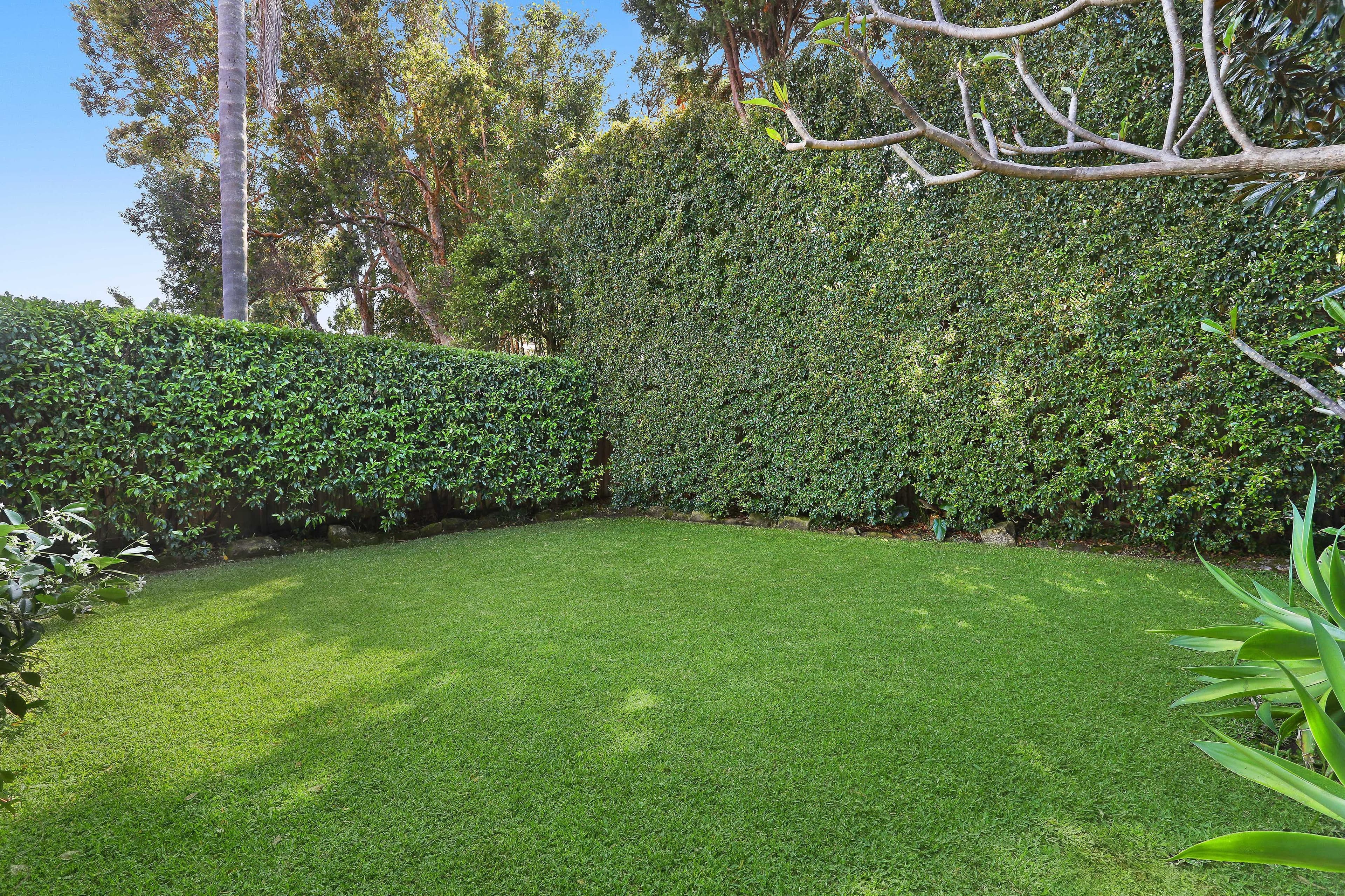 46 Plowman Street, North Bondi NSW 2026, North Bondi - Thumbnail 8