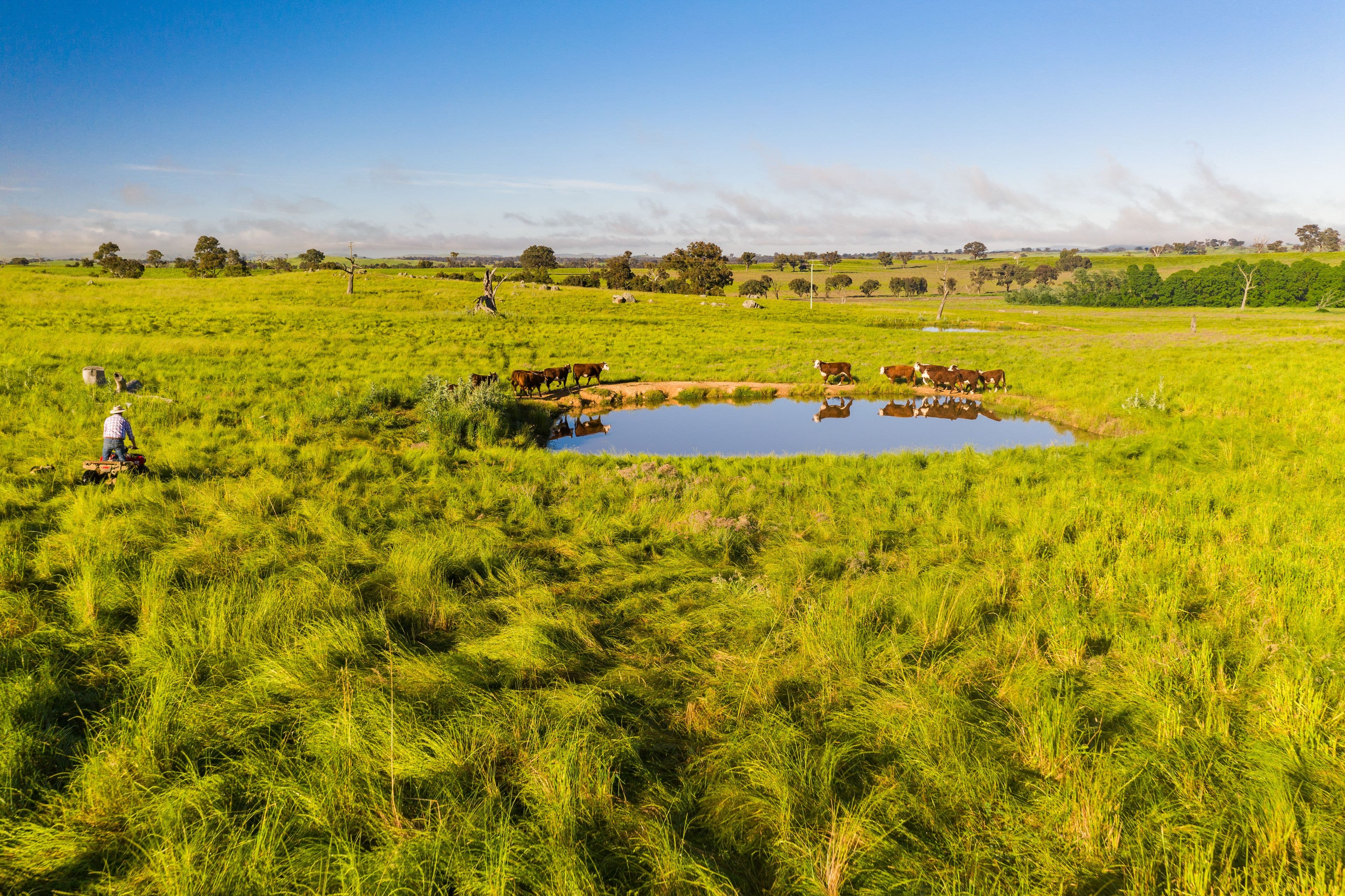 "Clare View" 1174 Lachlan Valley Way, Yass NSW 2582, Yass - Image 1