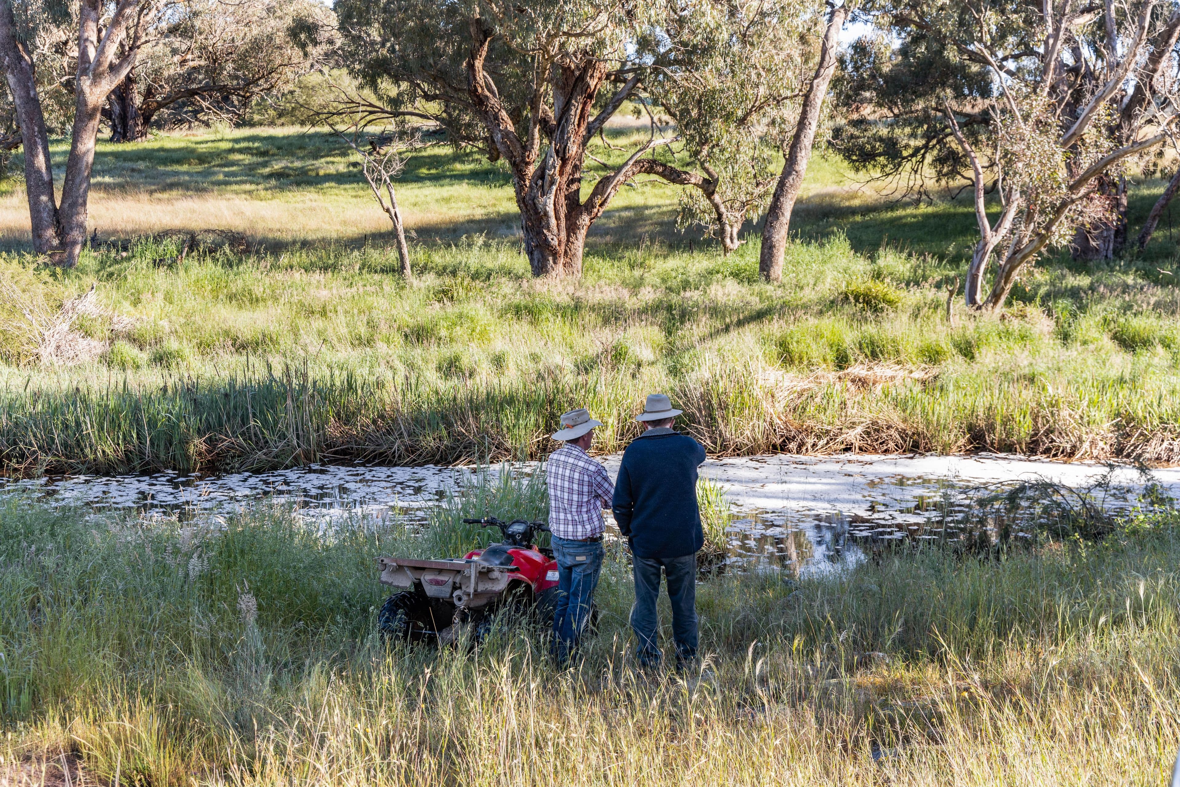 "Clare View" 1174 Lachlan Valley Way, Yass NSW 2582, Yass - Thumbnail 3