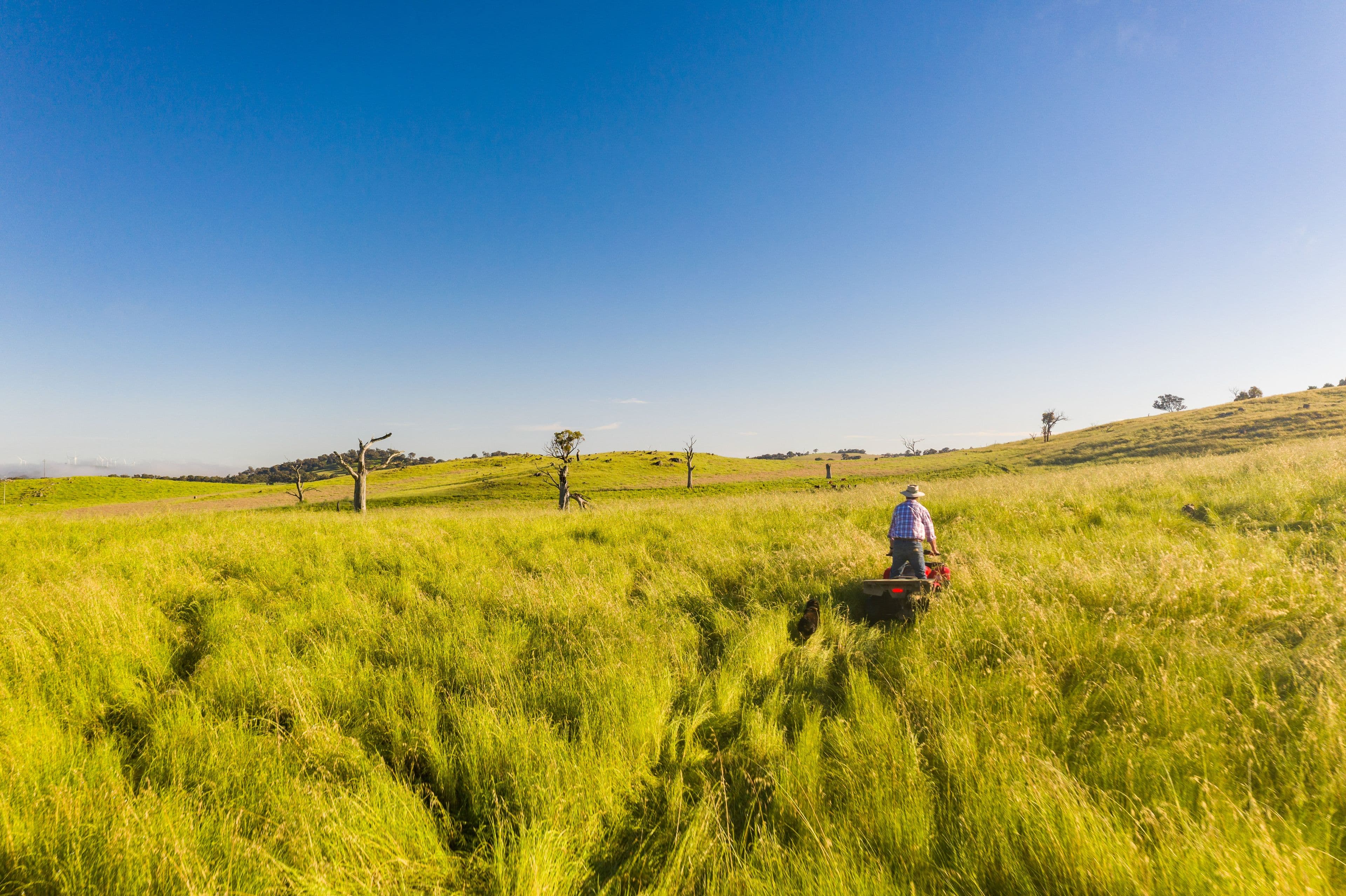 "Clare View" 1174 Lachlan Valley Way, Yass NSW 2582, Yass - Thumbnail 4