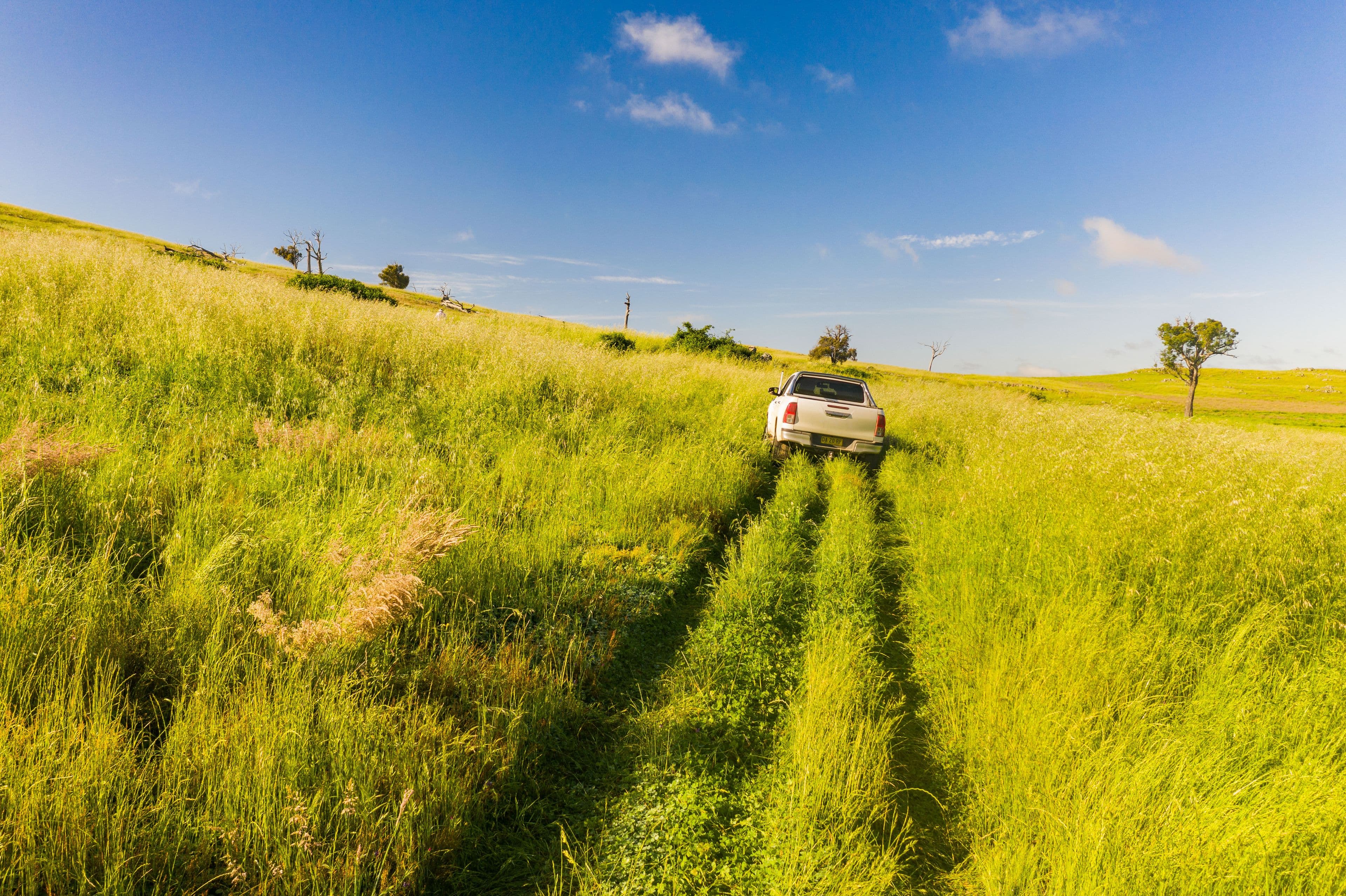 "Clare View" 1174 Lachlan Valley Way, Yass NSW 2582, Yass - Thumbnail 8