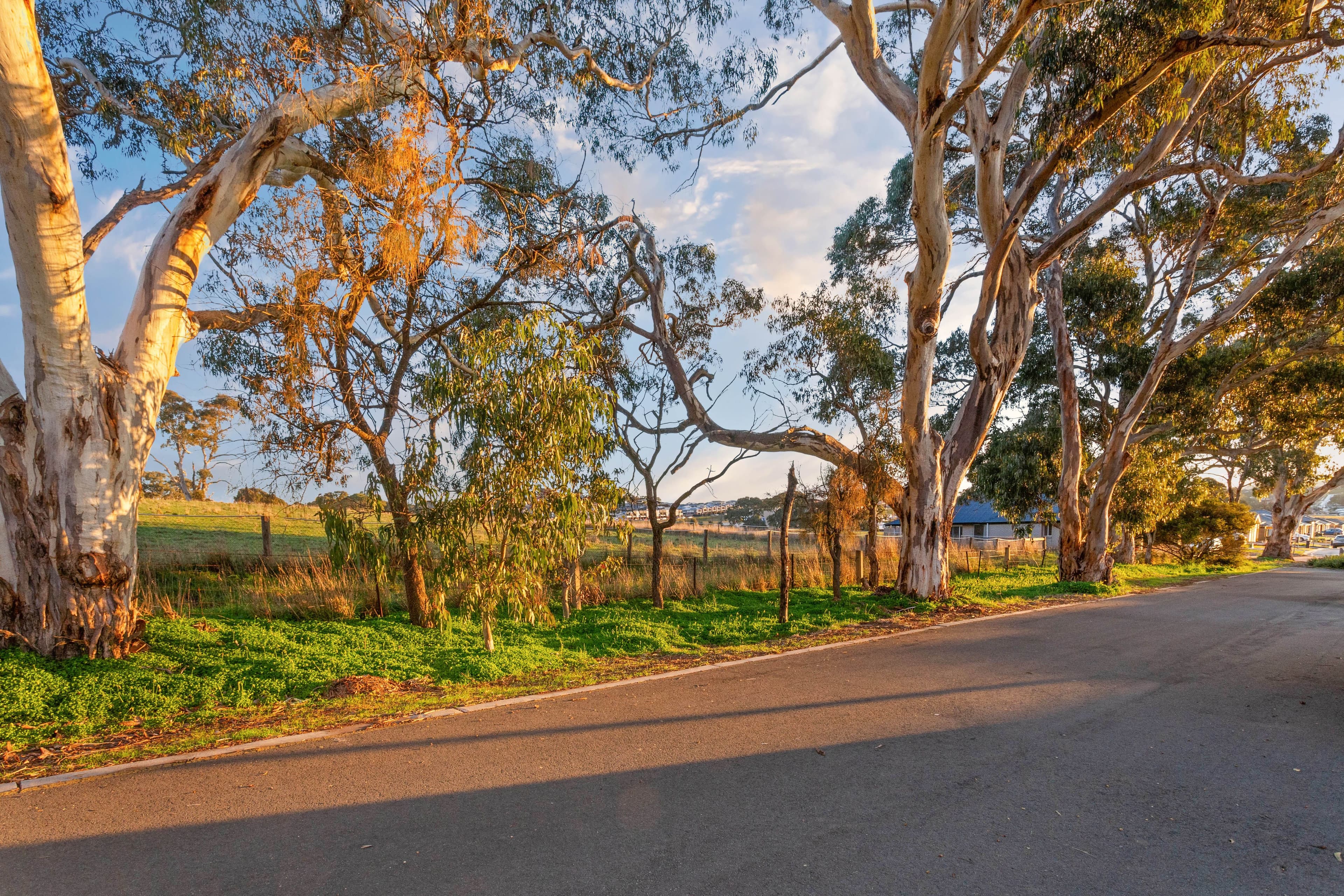 11 Hayle Court, Mount Barker SA 5251, Mount Barker - Thumbnail 2