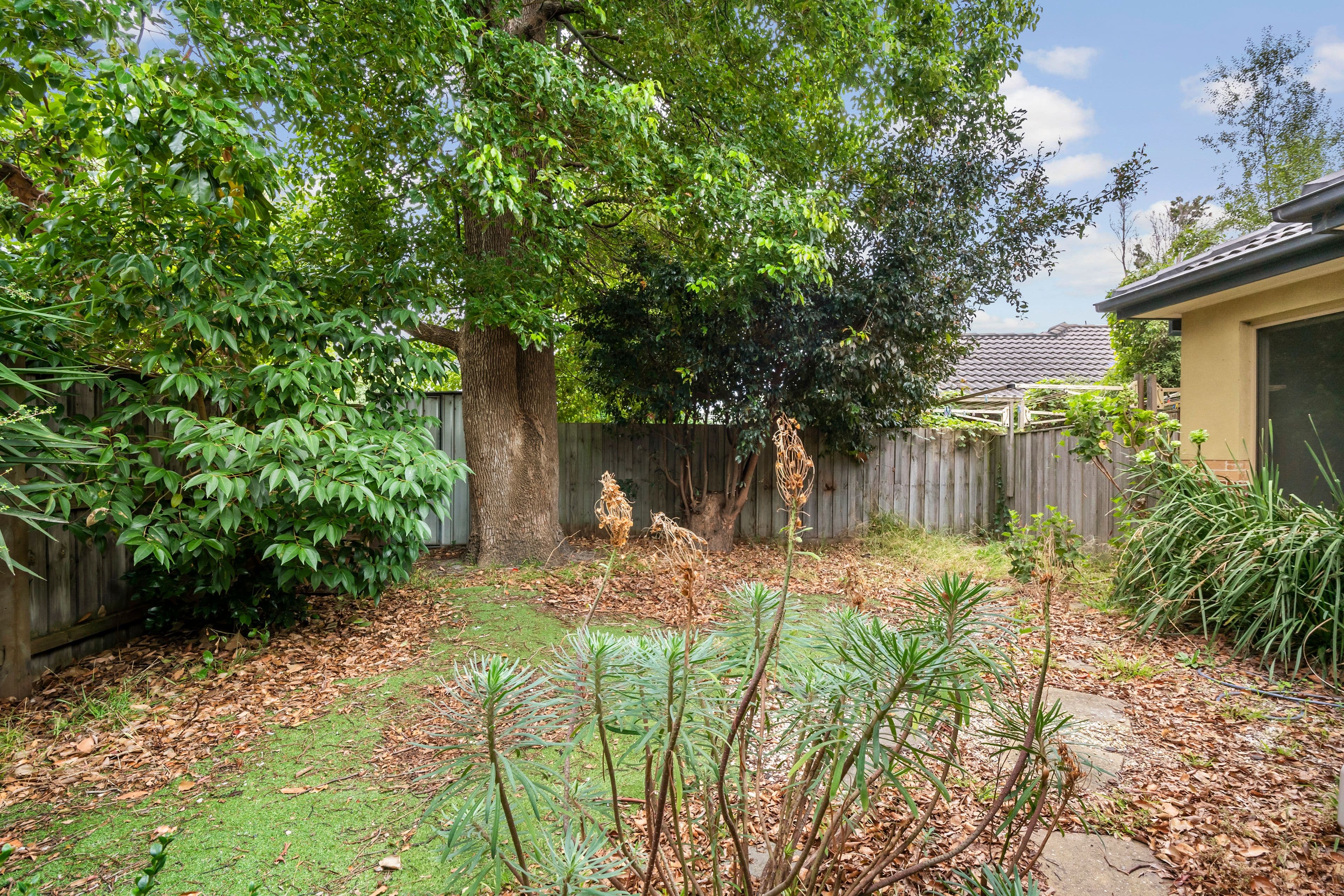 2 Campbell Street, Frankston VIC 3199, Frankston - Thumbnail 8