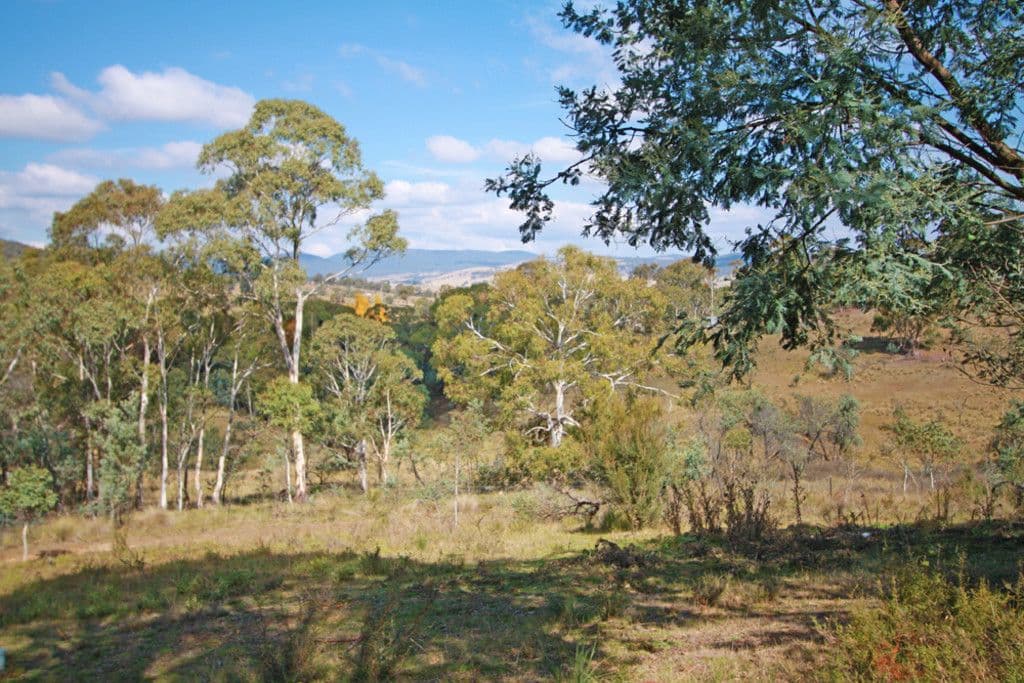 116 Old Mill Road, Forbes Creek NSW 2621, Forbes Creek - Thumbnail 2