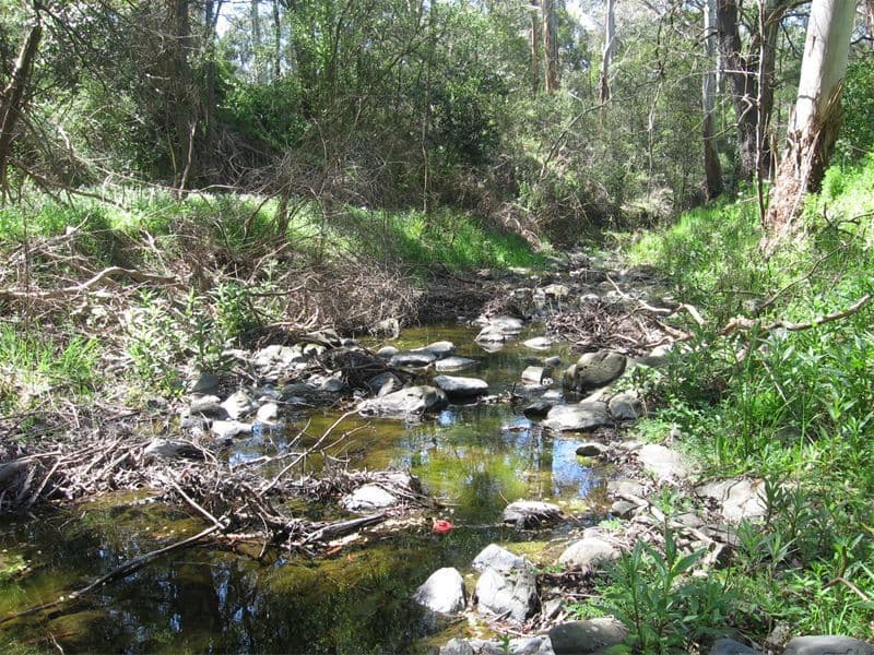 30  Silvercreek Road, FLOWERDALE VIC 3717, Flowerdale - Thumbnail 6