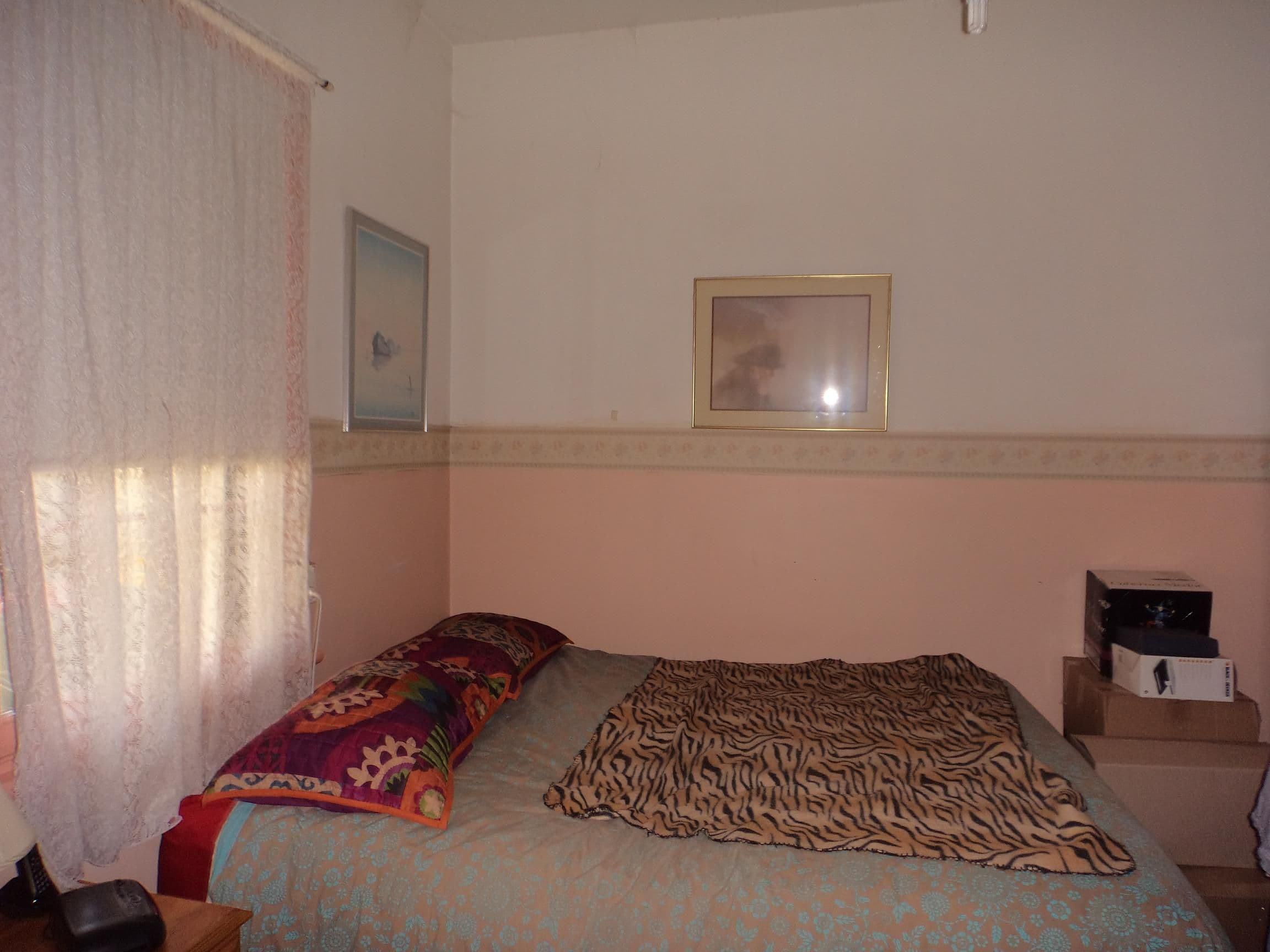 31 Chantry Street, GOULBURN NSW 2580, Goulburn - Thumbnail 3