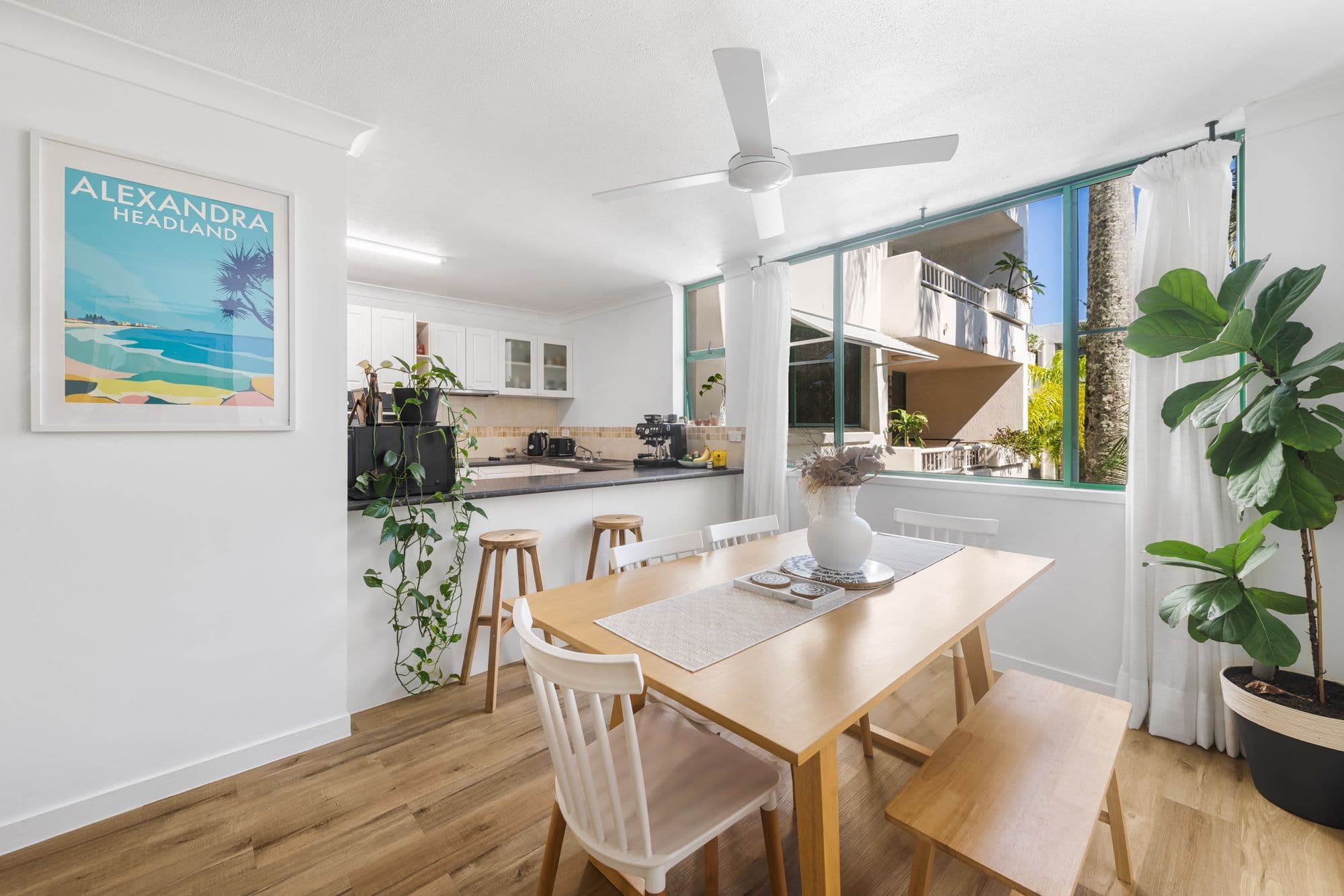 7 Juan Street, Alexandra Headland QLD 4572, Alexandra Headland - Thumbnail 4