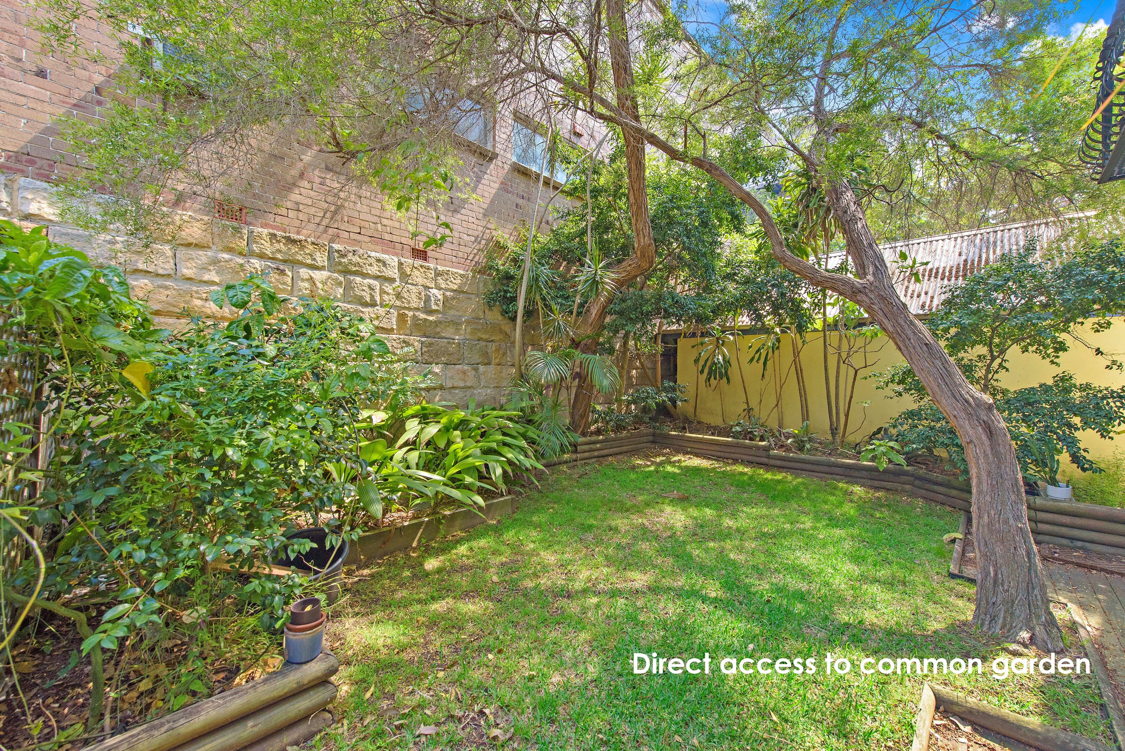 153 Macpherson Street, Bronte NSW 2024, Bronte - Thumbnail 5