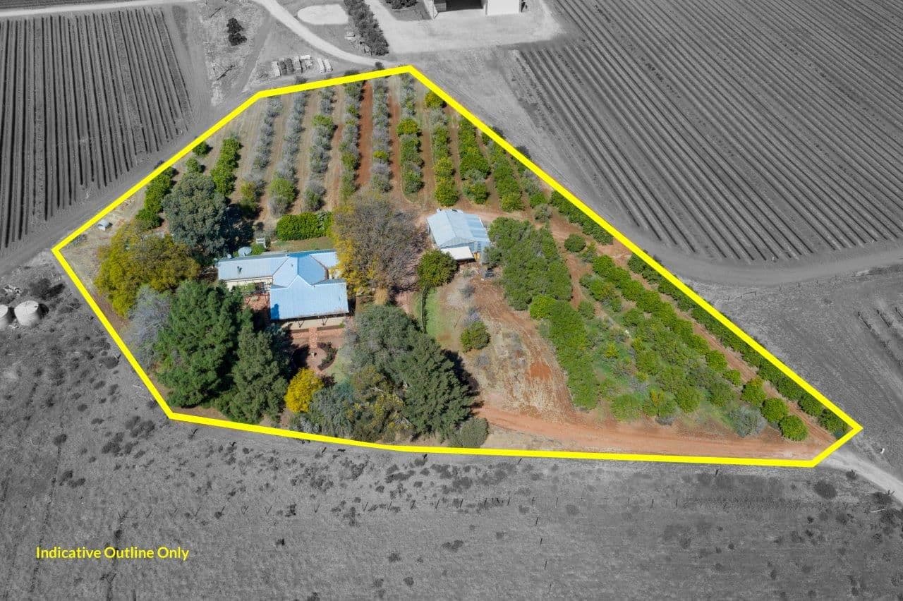 66 Stewart Road, Red Cliffs VIC 3496, Red Cliffs - Thumbnail 2