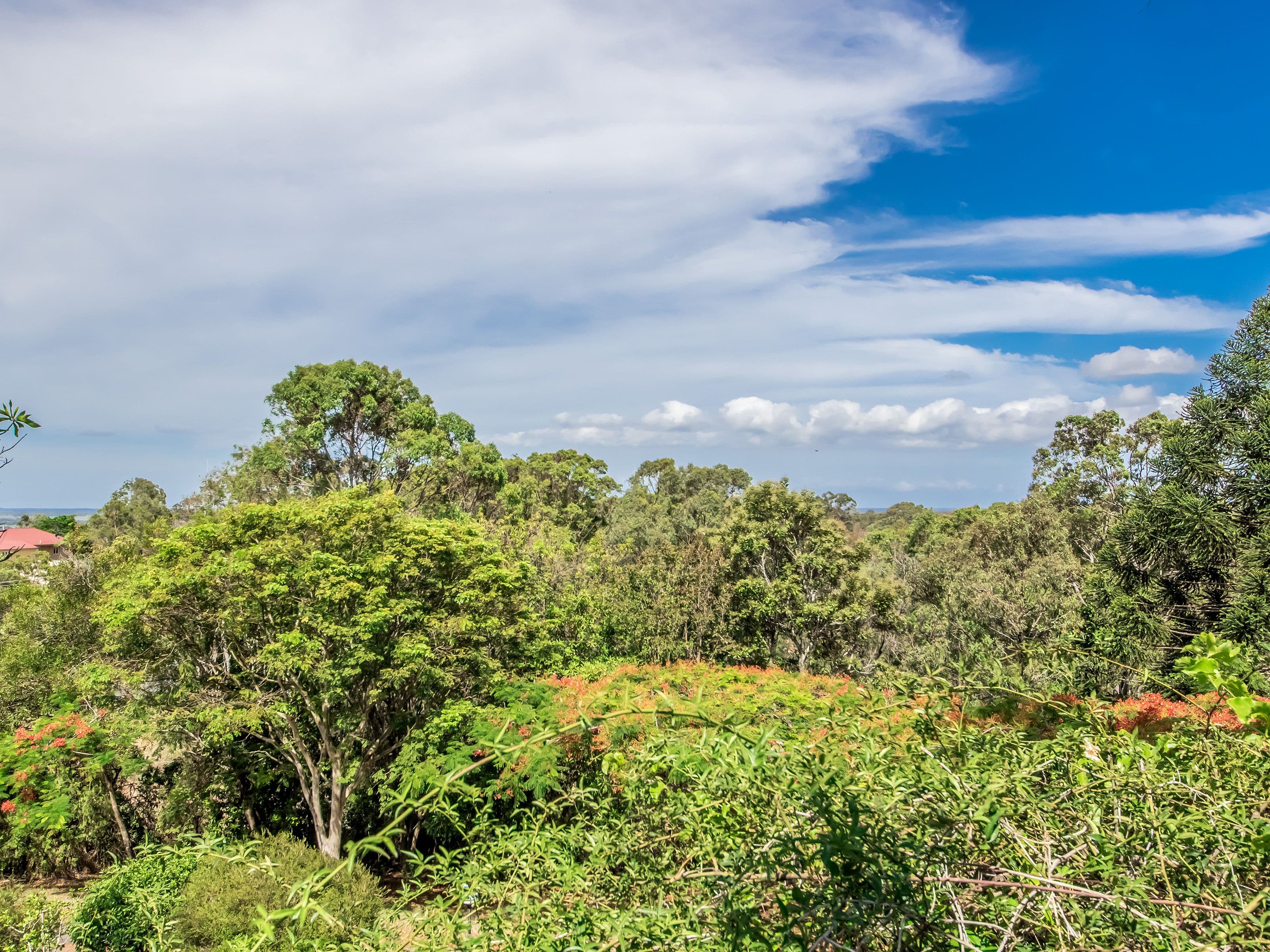 48 Rosemount Drive, Willow Vale QLD 4209, Willow Vale - Thumbnail 3