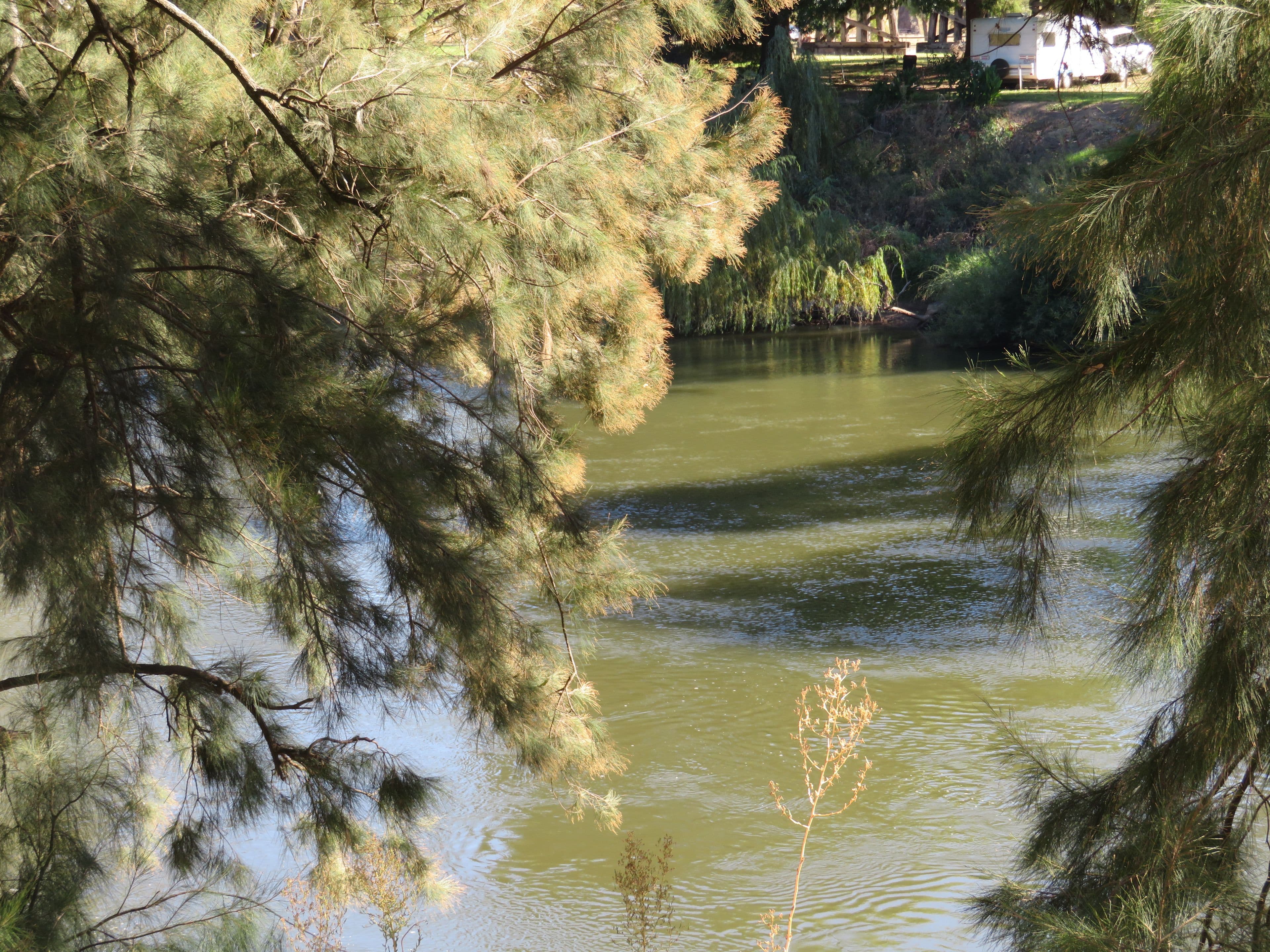 43 Hartley Street, Aireys Inlet, VIC, Aireys Inlet - Thumbnail 4