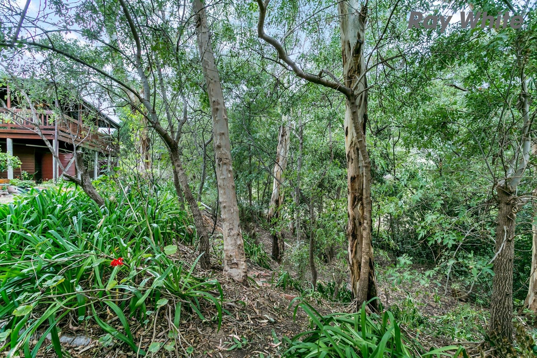 12 Alta Mira Crescent, Belair SA 5052, Belair - Thumbnail 6