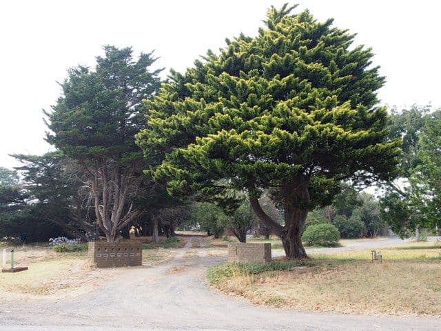86-88 Collins Street, DRYSDALE VIC 3222, Drysdale - Thumbnail 8